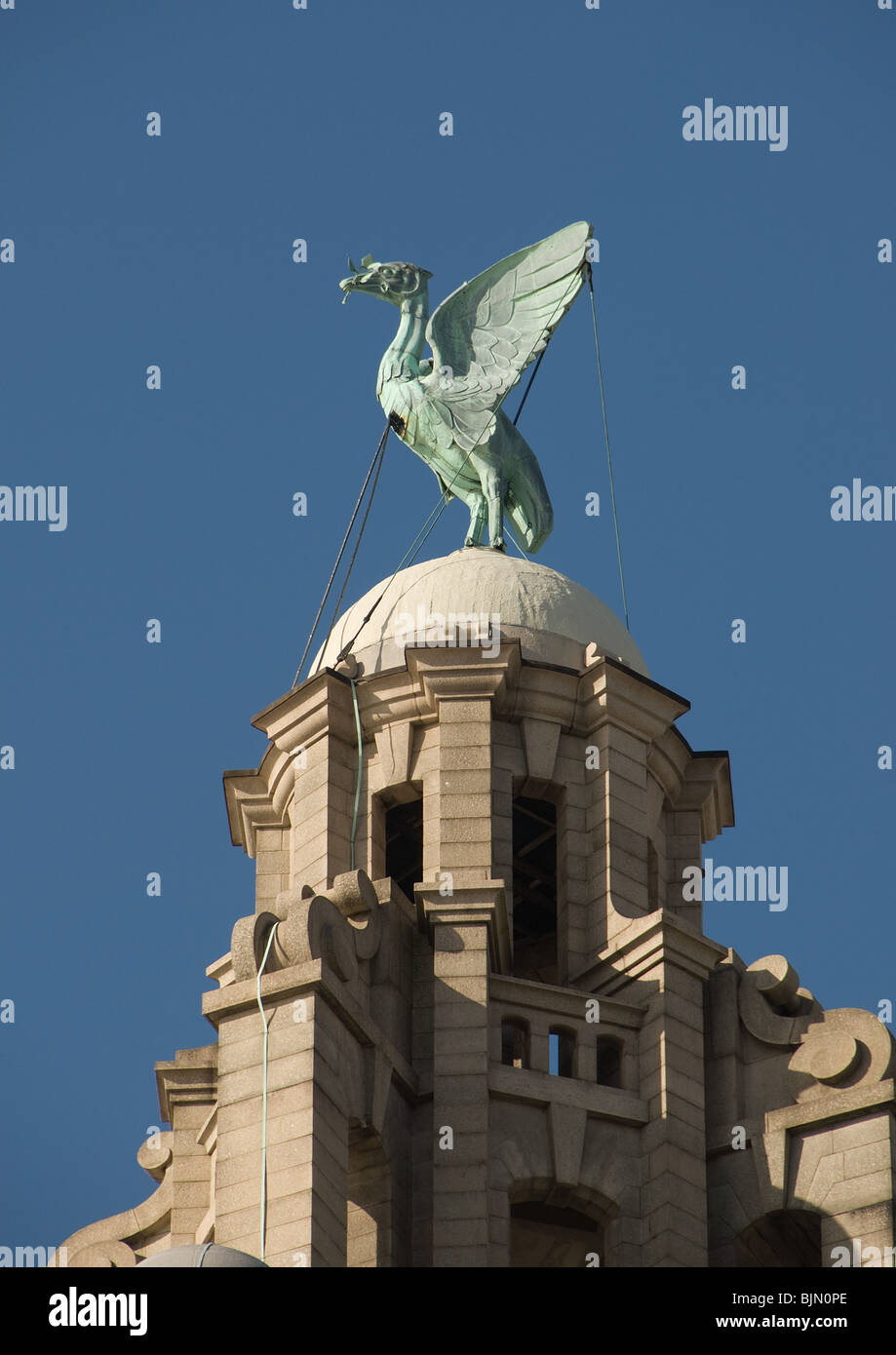 Liver bird on top of Liver Building Stock Photo
