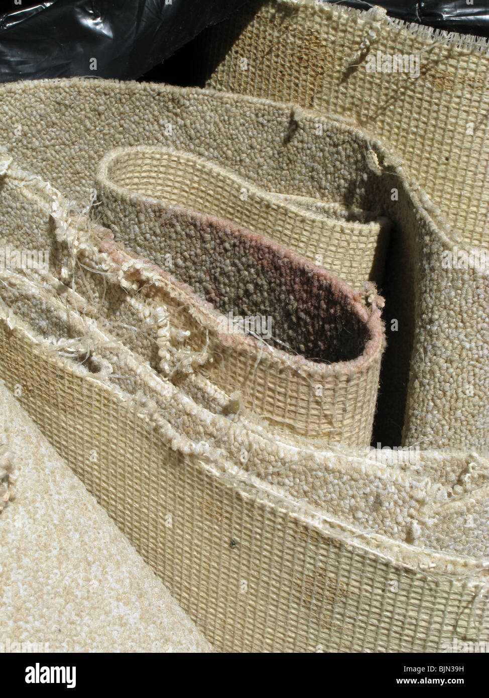 detail of old carpet in rubbish bin Stock Photo Alamy