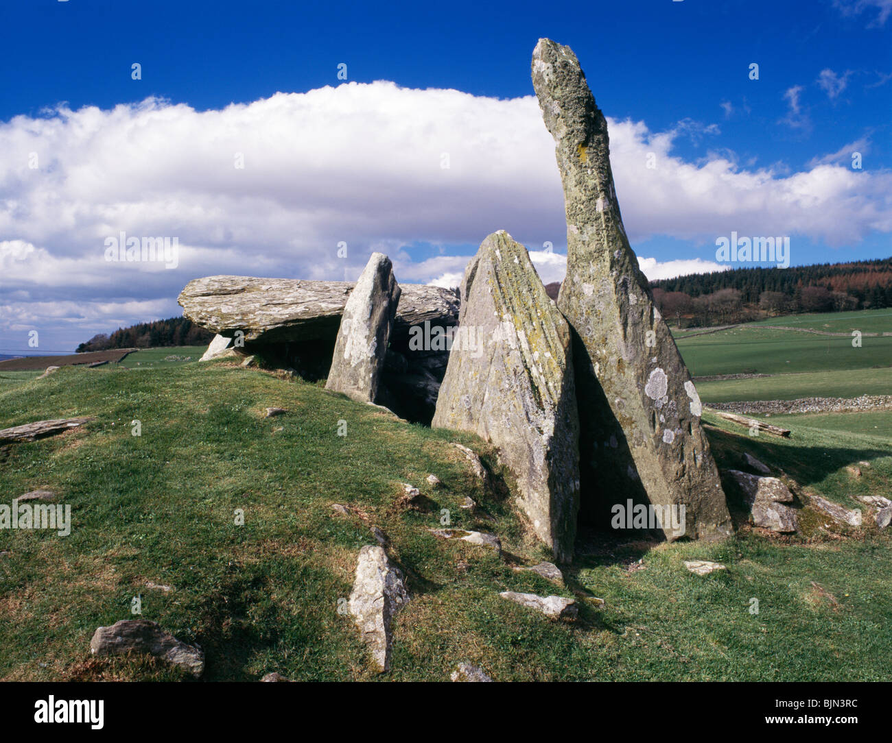 Standing stones Scotland Cairnholy Neolithic Chambered burial Cairns near Creetown Galloway Scotland UK Stock Photo