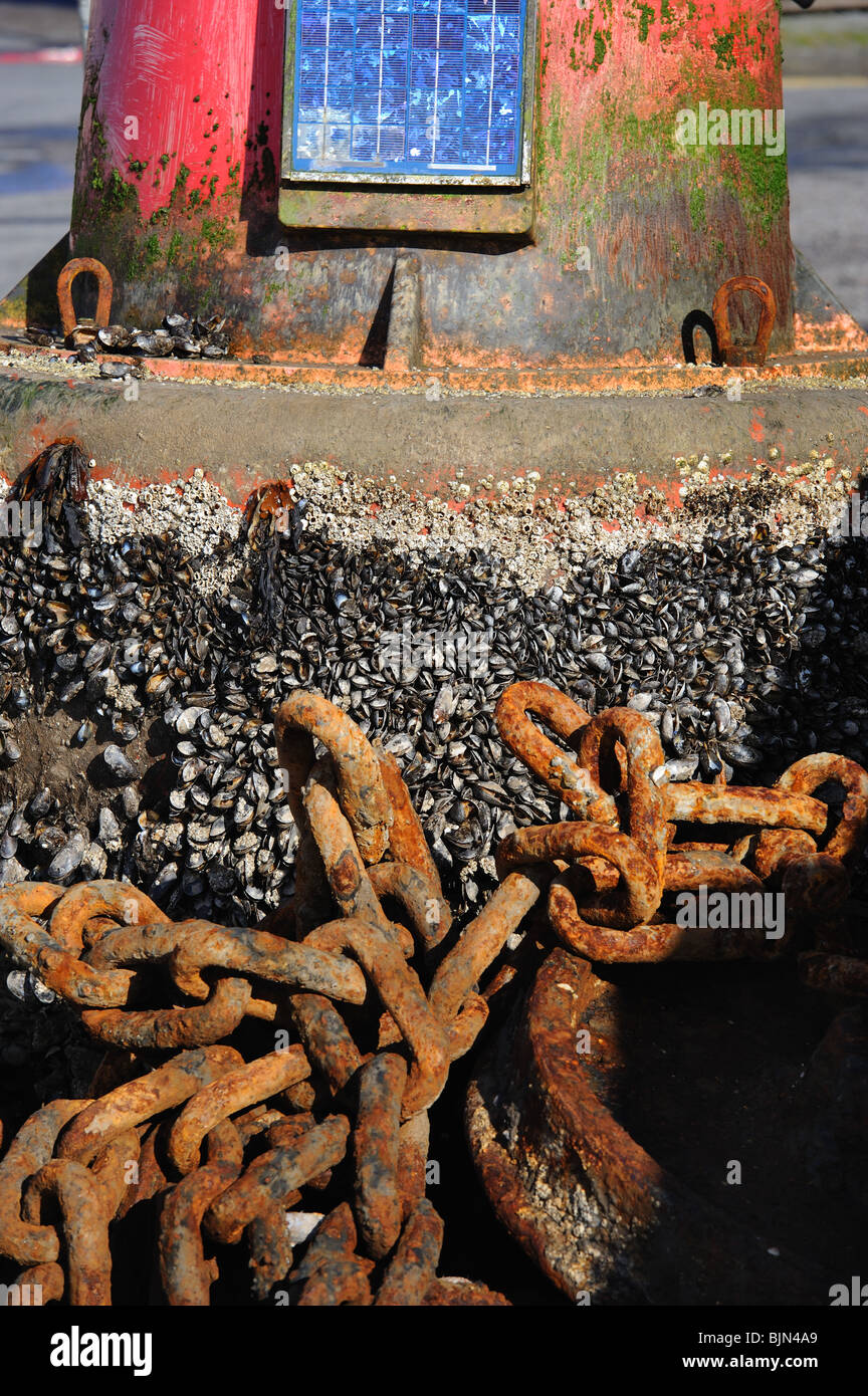 Detail of port hand channel buoy showing barnacles out of the water on the quayside at Kirkcudbright Hrabour, SW Scotland Stock Photo