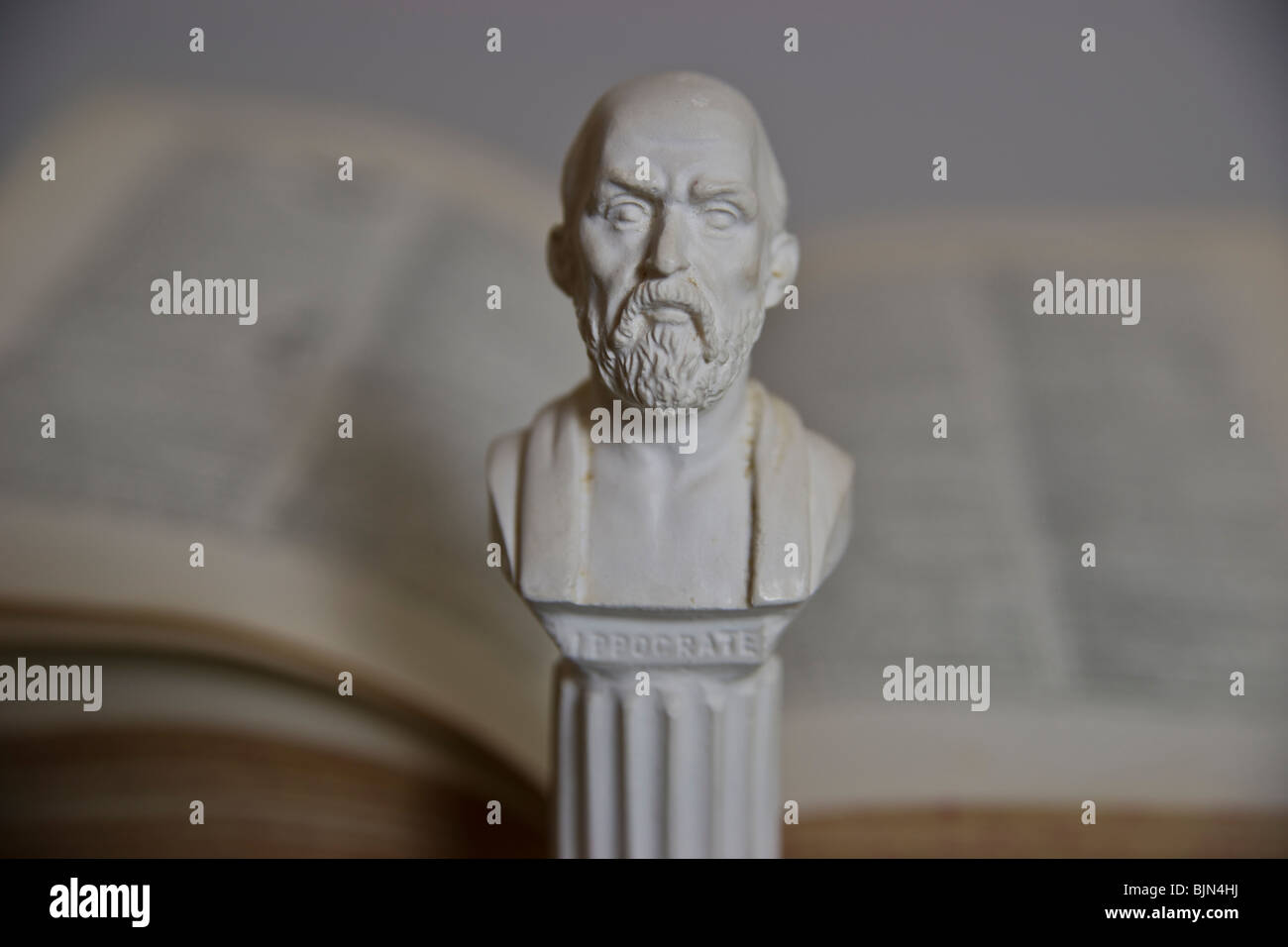 Bust of Hippocrates Stock Photo
