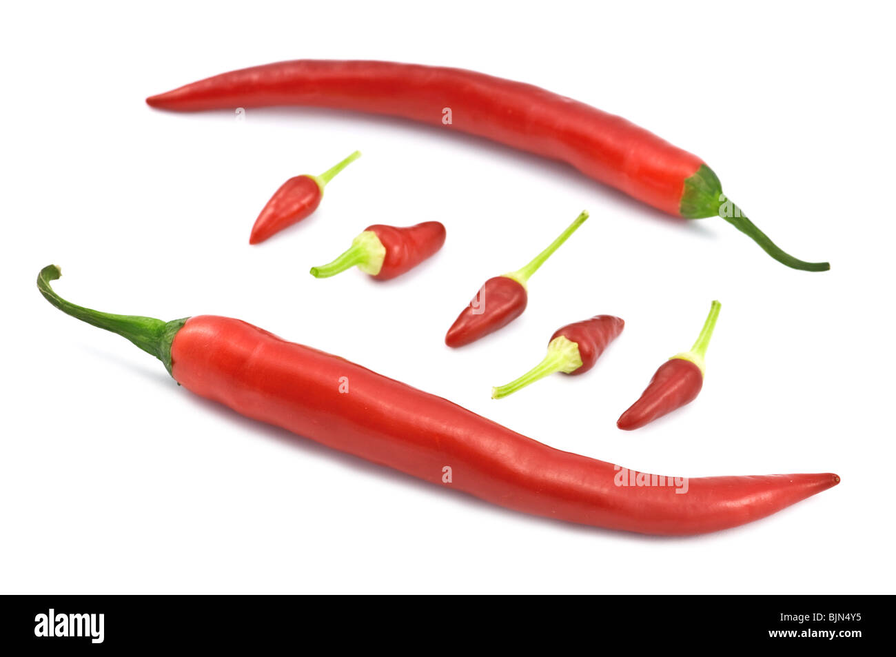 red hot chili peppers isolated Stock Photo Alamy