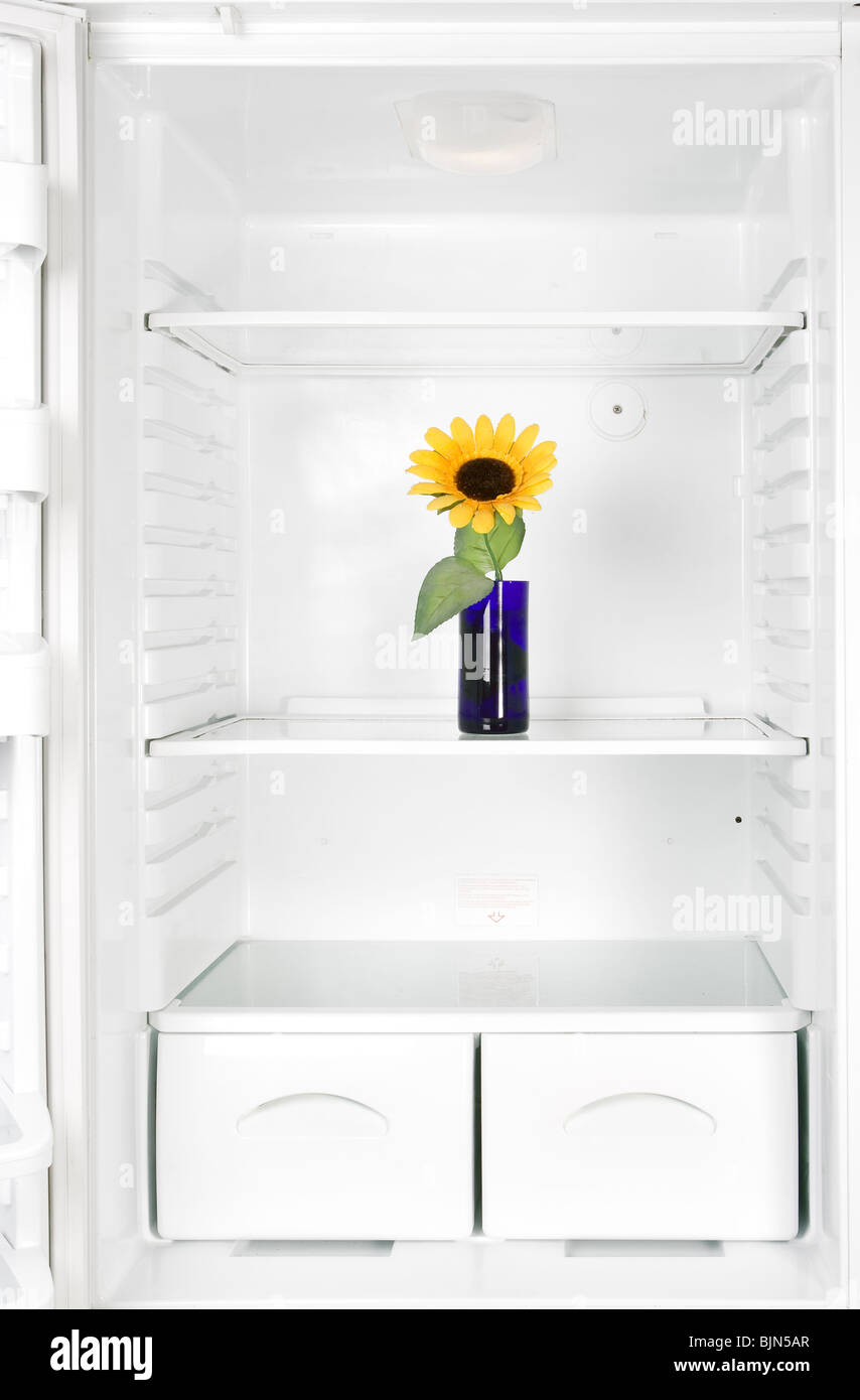 flower vase in the refrigerator Stock Photo Alamy