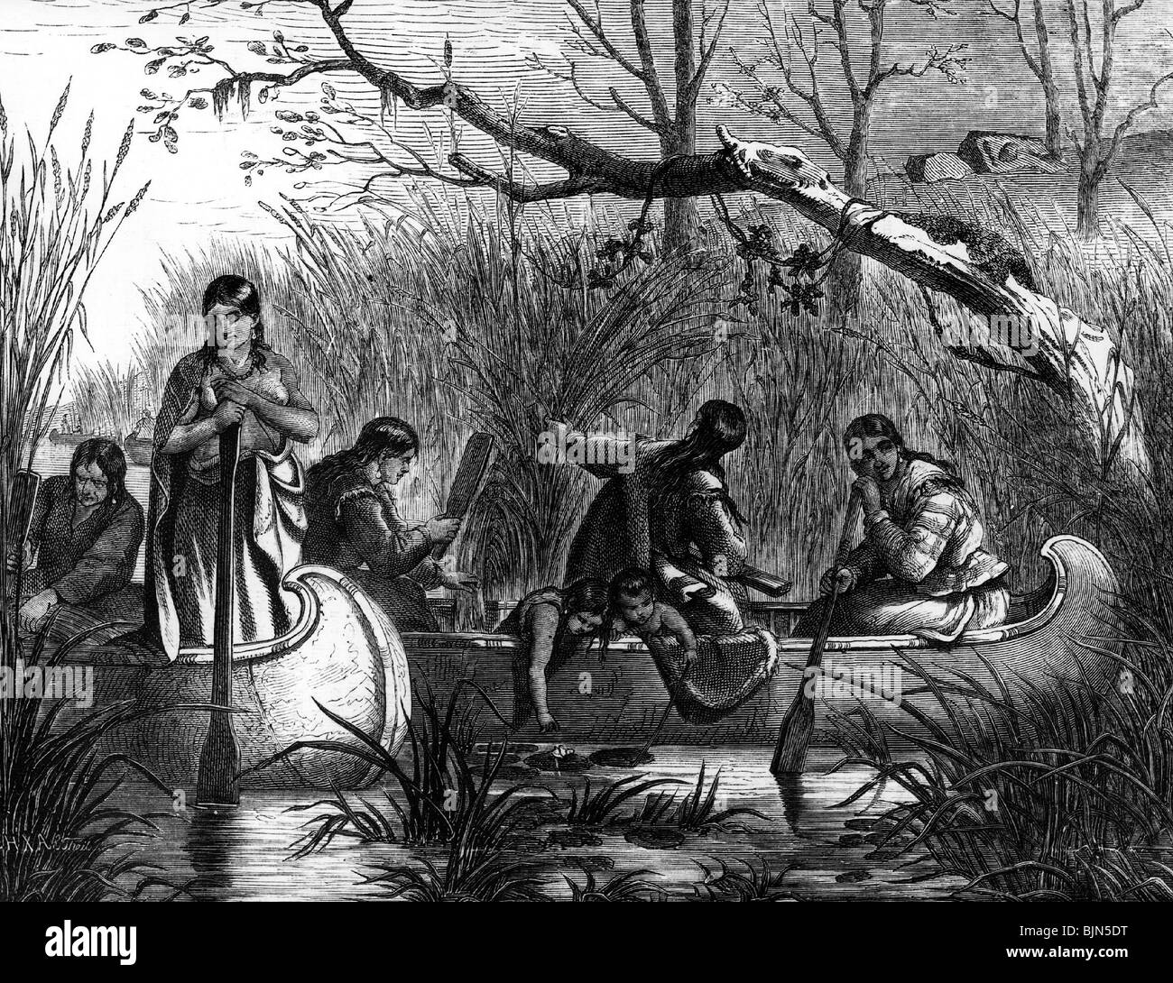 geography / travel, United States of America, American Indians, woman harvesting rice, wood engraving after drawing by C.E. Doepler, 1869, Stock Photo