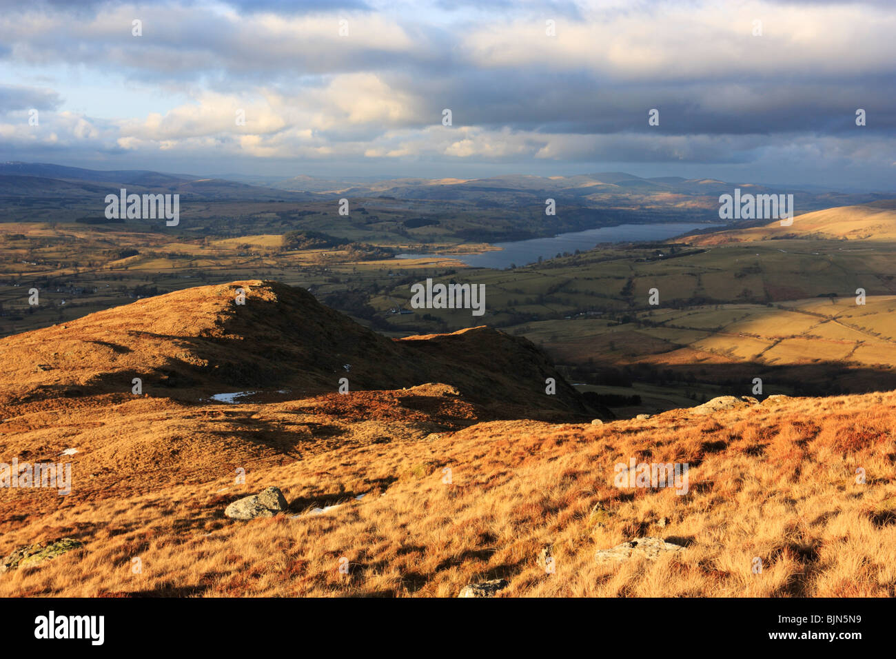 Llyn tegid hi-res stock photography and images - Alamy