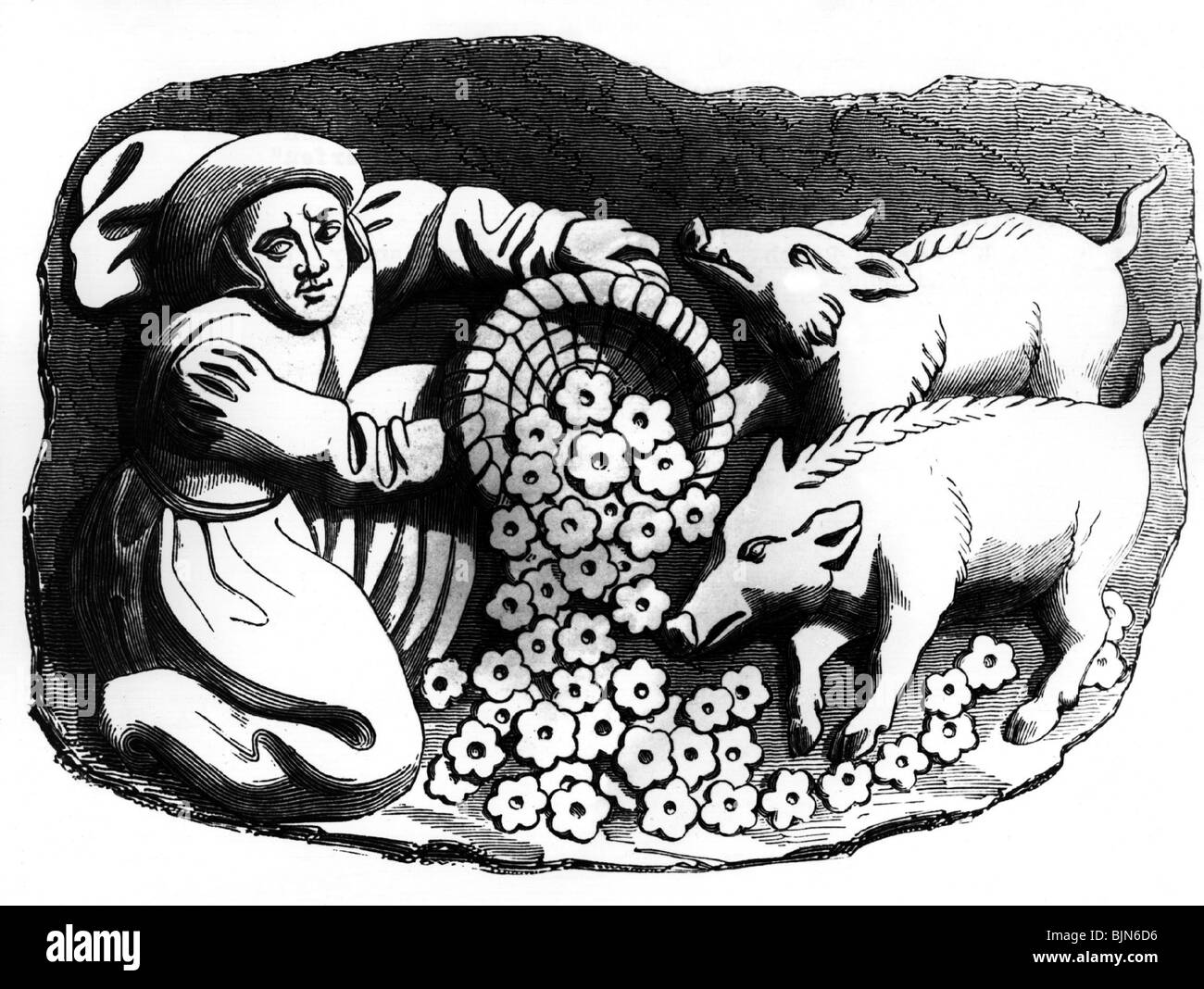agriculture / farming, rural life, feeding pigs, wood engraving after wood carving, cathedral of Rouen, France, 15th century, historic, historical, fodder, animal food, animals, Middle Ages, medieval, Stock Photo