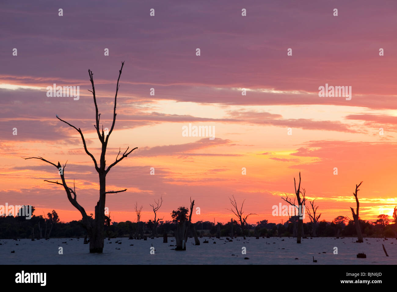 Lake Mulwala at Yarrawonga was created when the Murray River was dammed