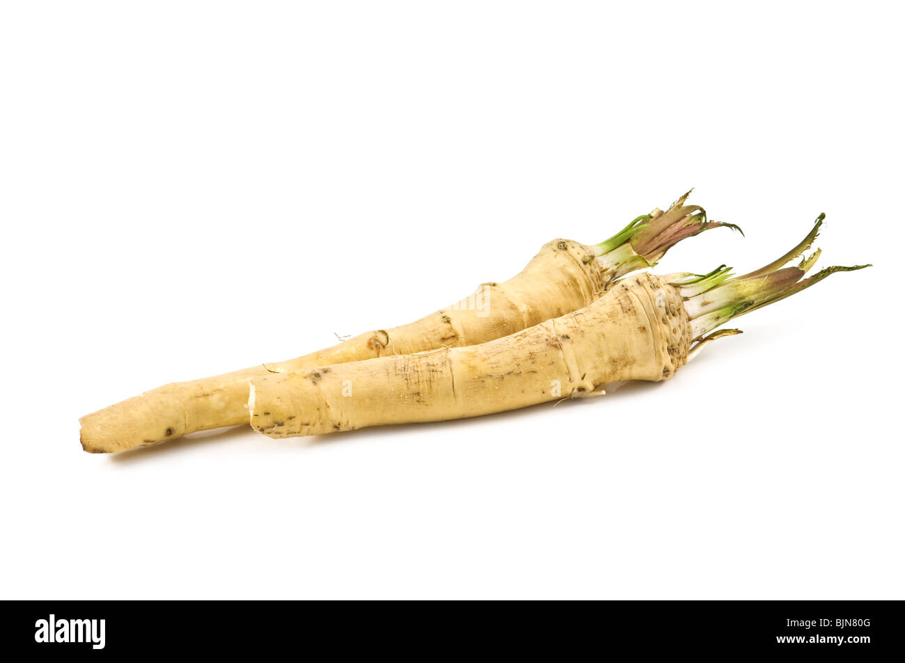 two roots of horse radish isolated Stock Photo