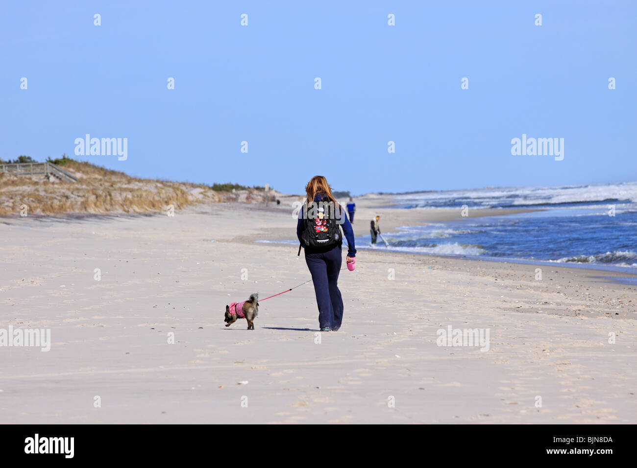 Walking on the beach with the dog hi-res stock photography and images ...