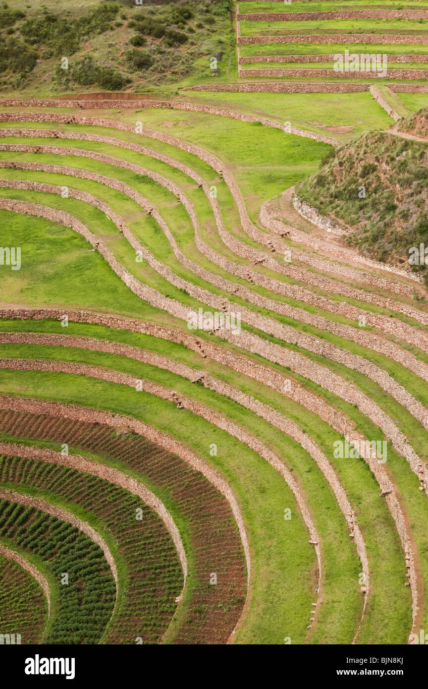 Inca crop terraces, Moray, Peru Stock Photo