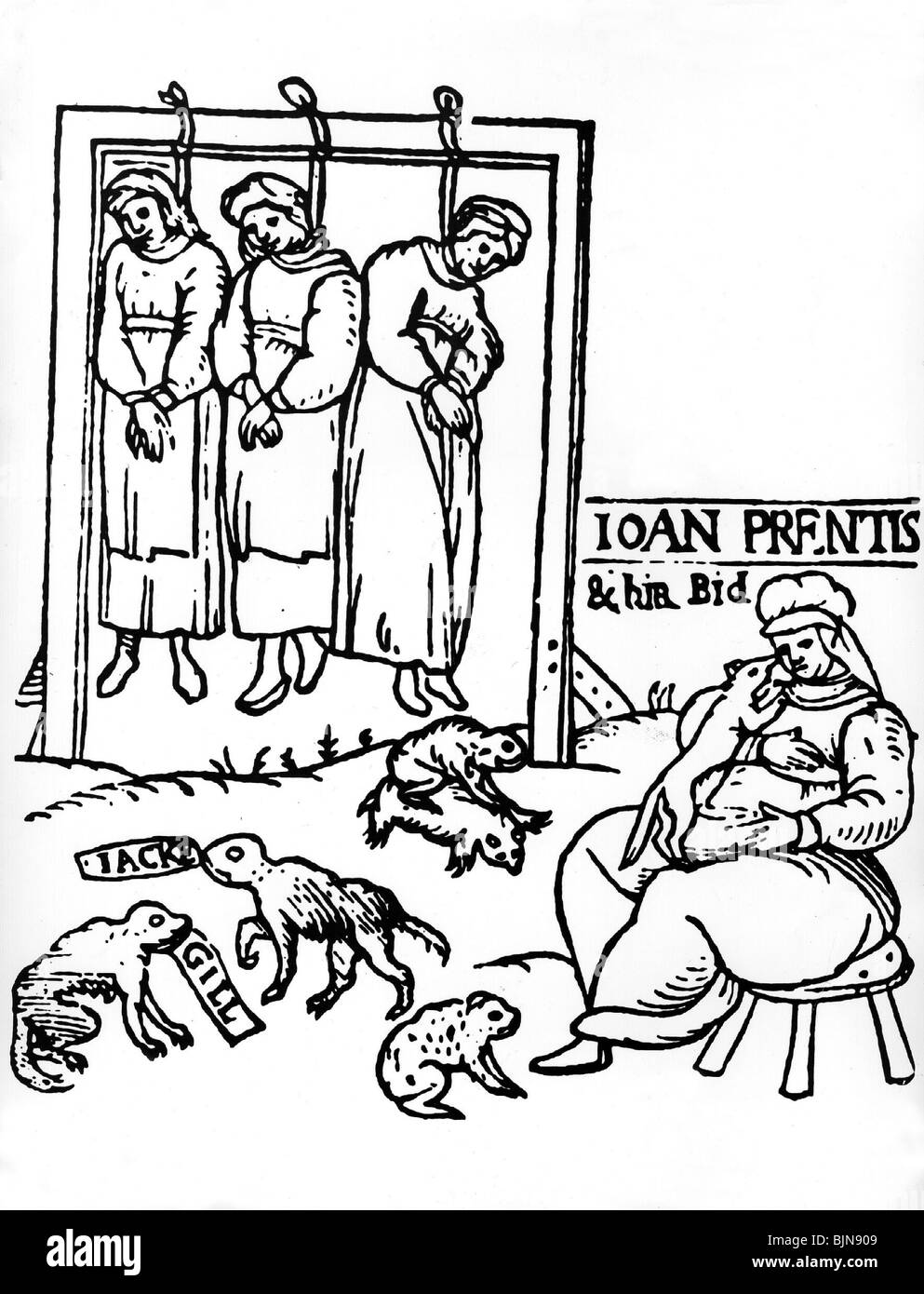 witches, witch hunt, execution of three witches by hanging, woodcut, anonymous English pamphlet, 1589, Stock Photo