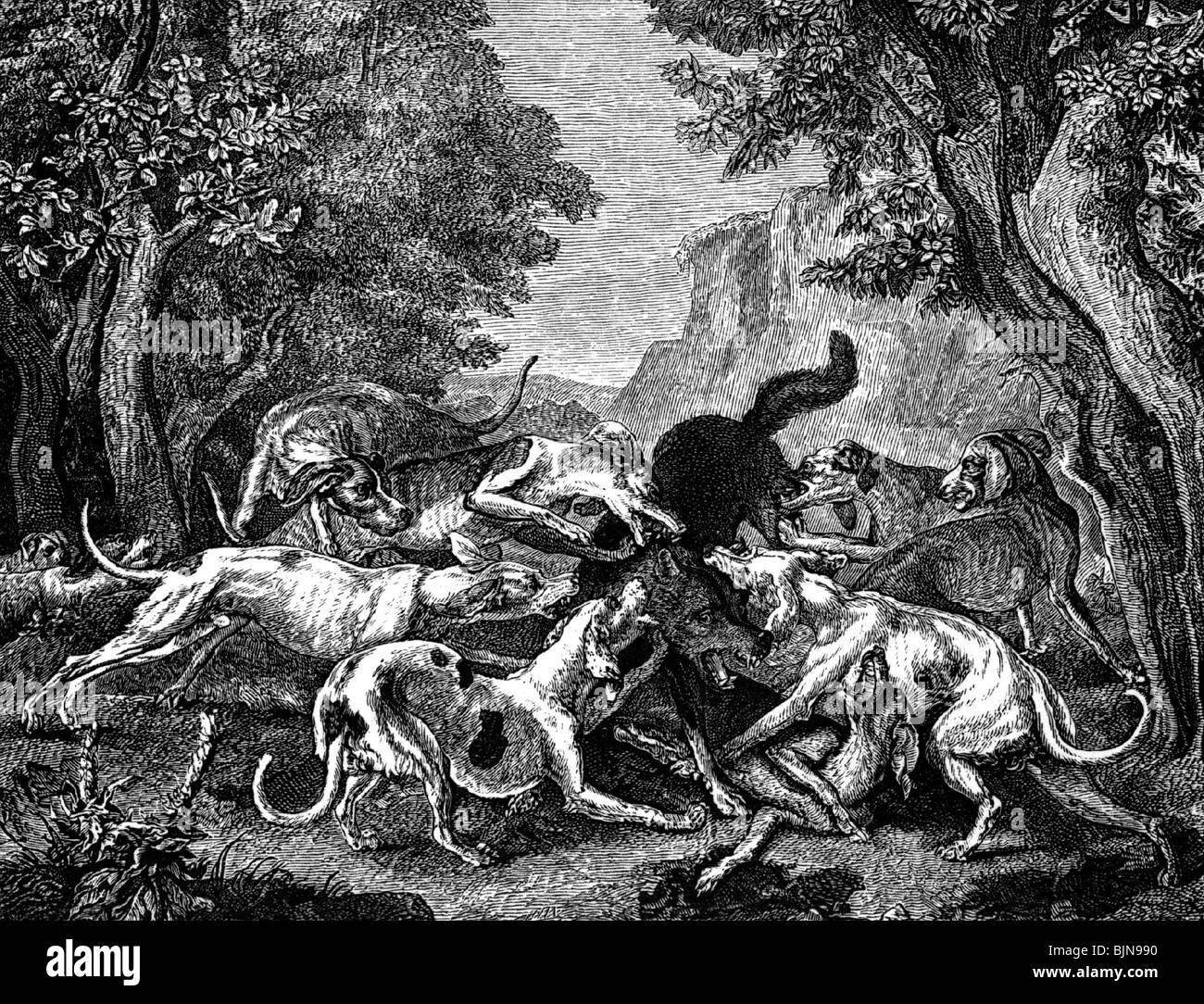 hunting, hounds killing a wolf, wood engraving after painting by Francisque Desportes, late 19th century, historic, historical, hunt, dog, dogs, hound, people, Stock Photo