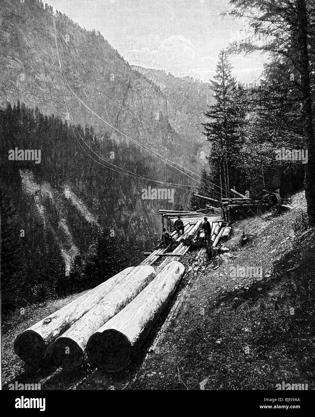 agriculture, forestry, lumber transporting facility, Via Mala, Graubuenden, Switzerland, wood engraving, circa 1890, Stock Photo