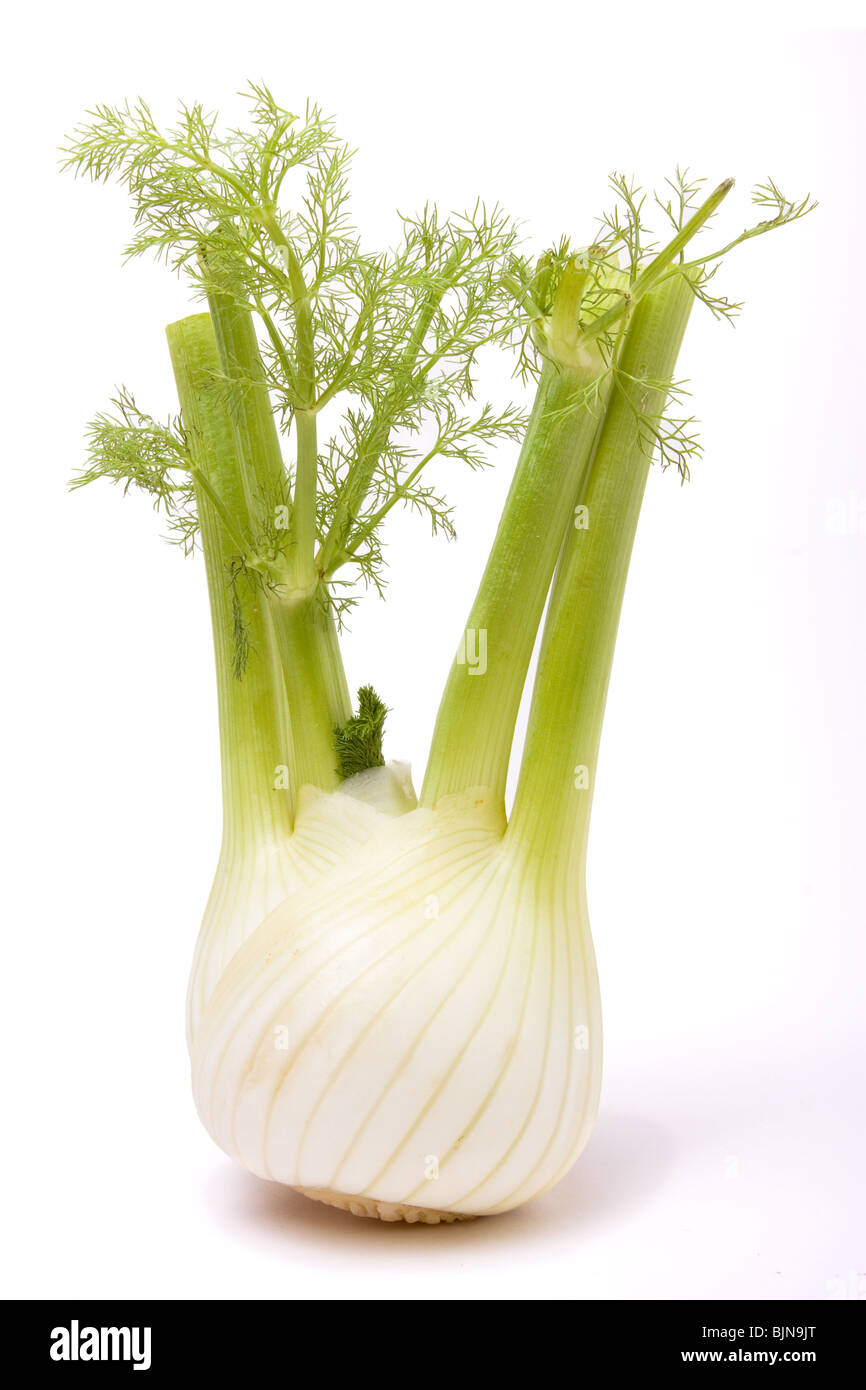 Fennel bulb hires stock photography and images Alamy