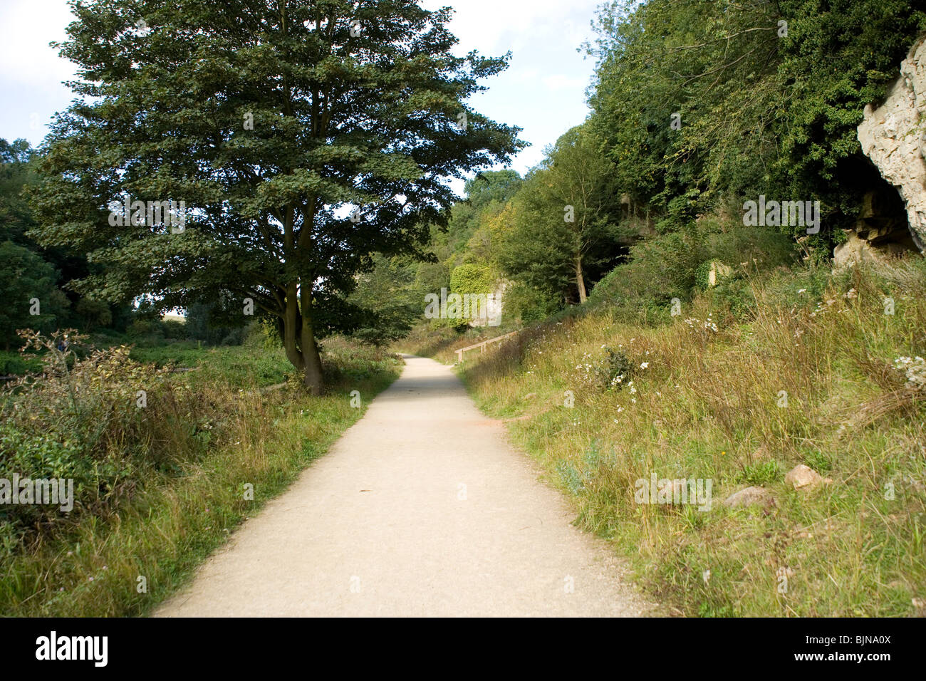 Creswell Crags in Derbyshire Stock Photo Alamy