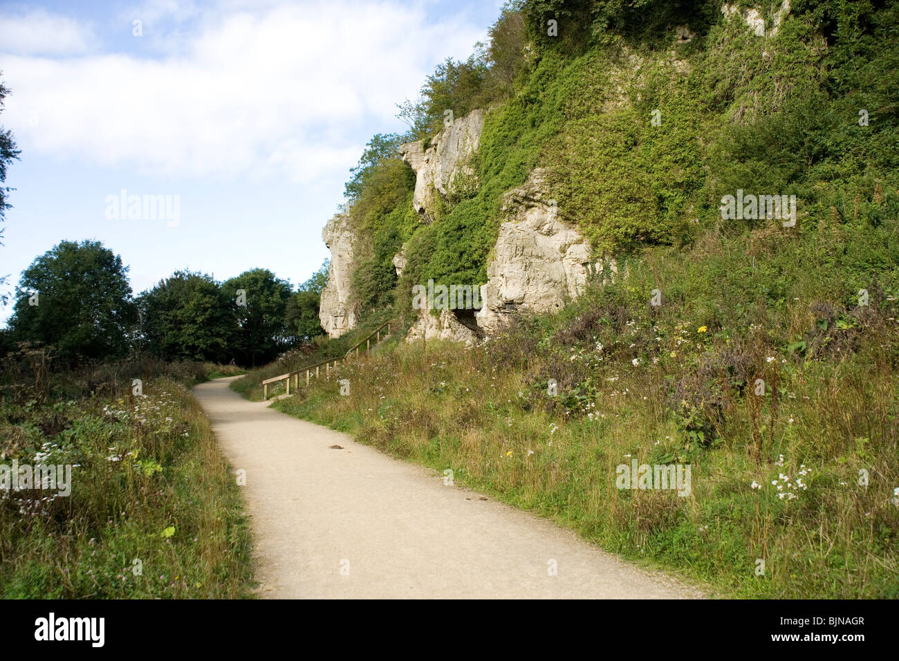 Creswell Crags in Derbyshire Stock Photo Alamy