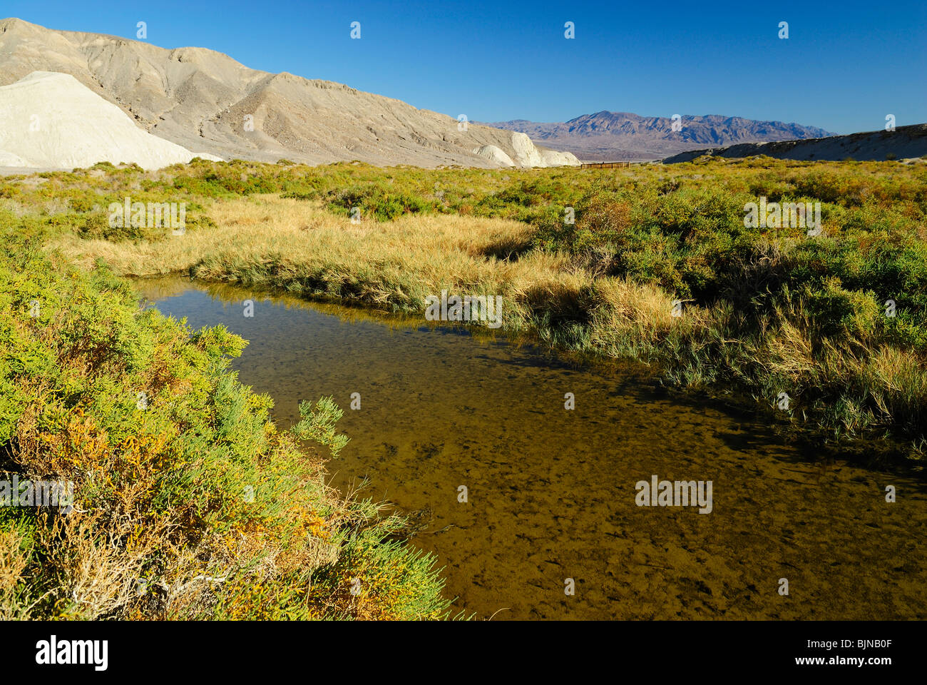 Mc Lean river in Salt Creek in Death Valley, California state Stock Photo