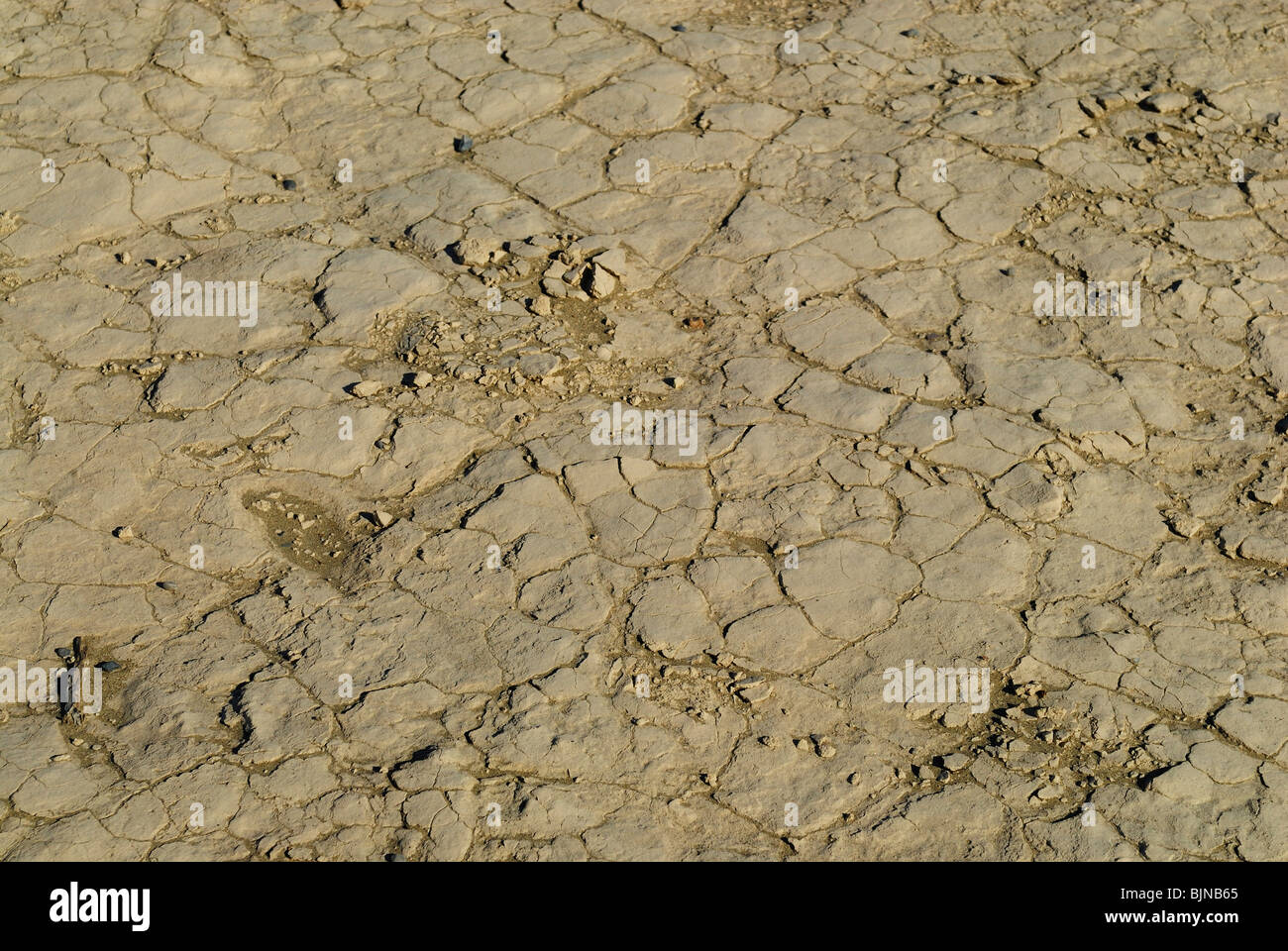 Dry soil in Mesquite sand Dunes in Death Valley, California state Stock Photo