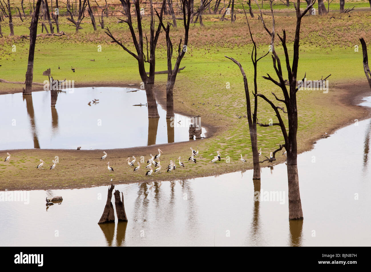 Lake Hume in New South Wales at very low levels due to the ongoing