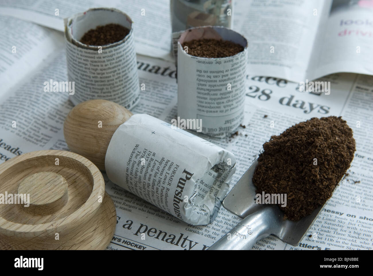 Eco plant pots, made from newspaper, which biodegrade when planted in