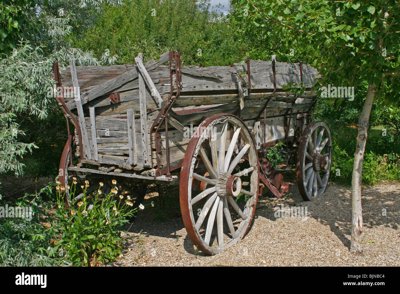 Antique Wagon Stock Photos & Antique Wagon Stock Images - Alamy