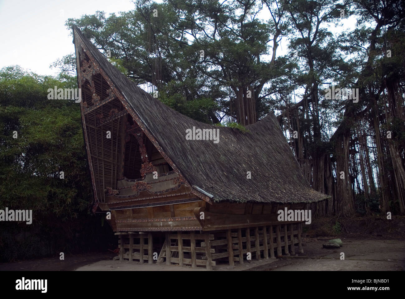 The characteristic sweeping prow-shaped roofs of Batak houses Stock Photo