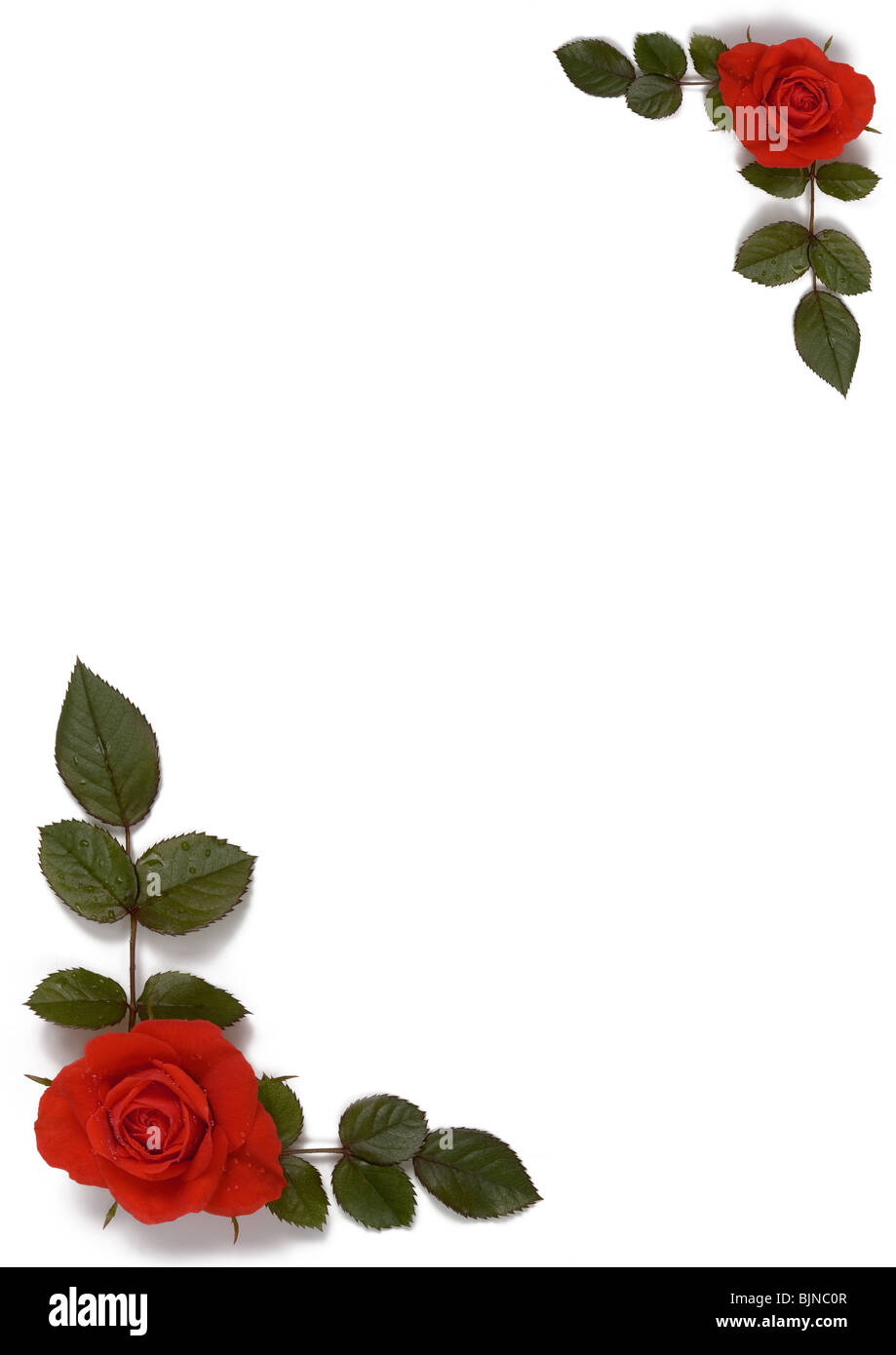 Flower background corners Cut Out Stock Images & Pictures - Alamy