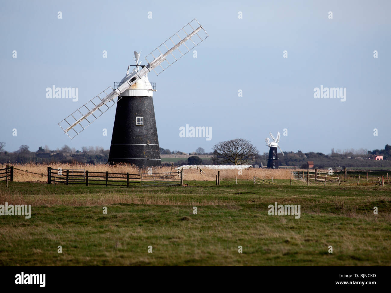 Mutton's Drainage Mill and Berney Arms Drainage Mill, Halvergate Marshes, Norfolk Broads Stock Photo