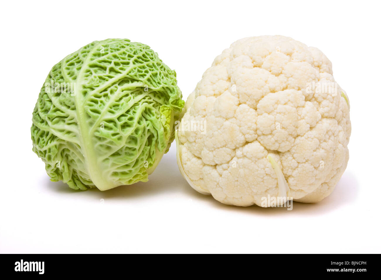 Cabbage and cauliflower close up from low viewpoint against white background. Stock Photo