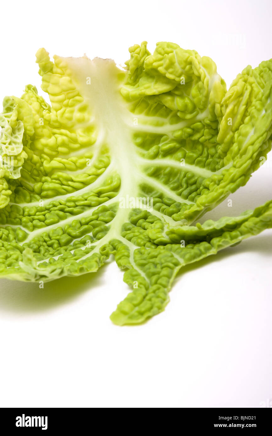 Green cabbage leaf hires stock photography and images Alamy