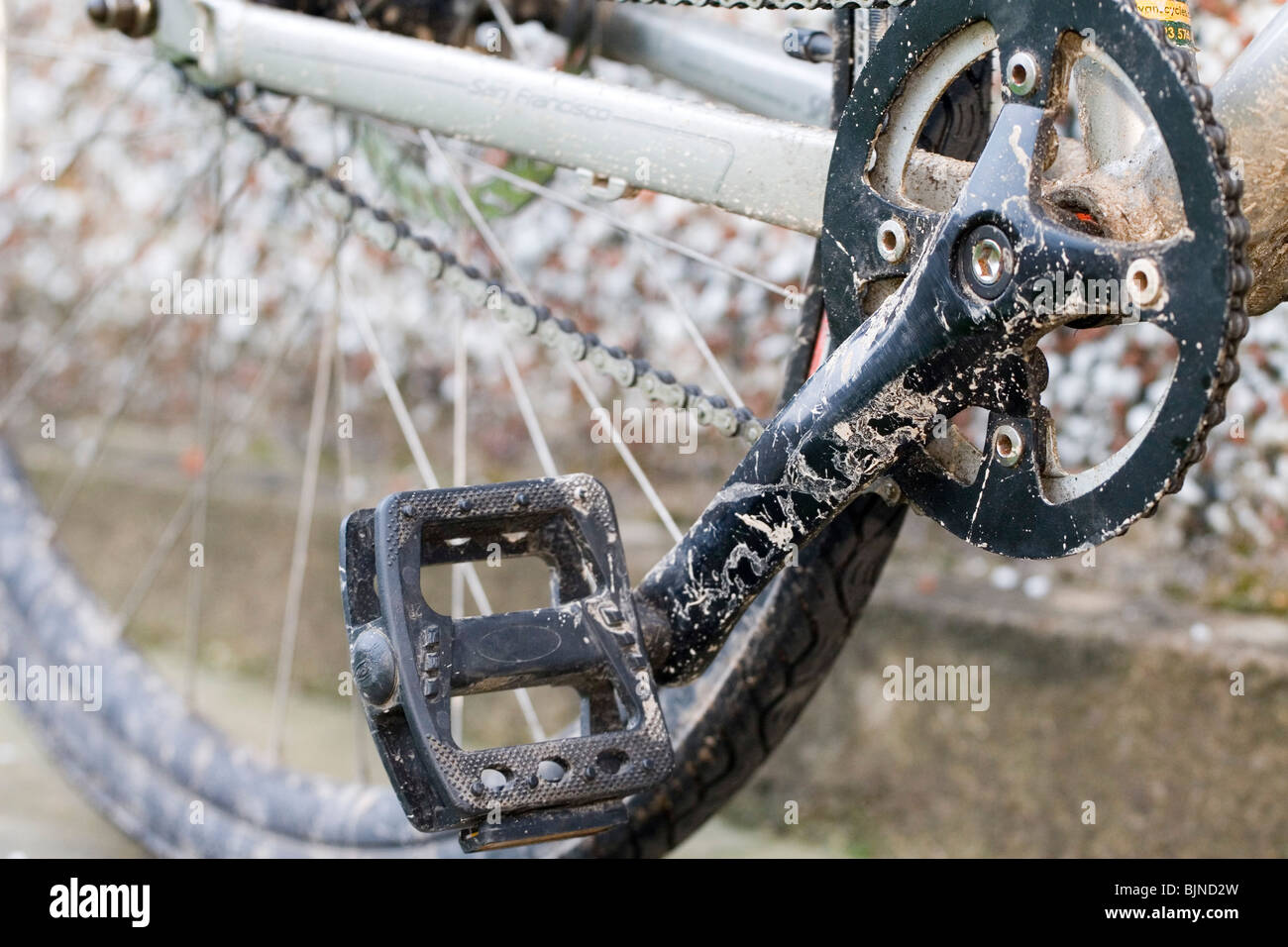 A pedal and middle crankset on a bicycle Stock Photo Alamy