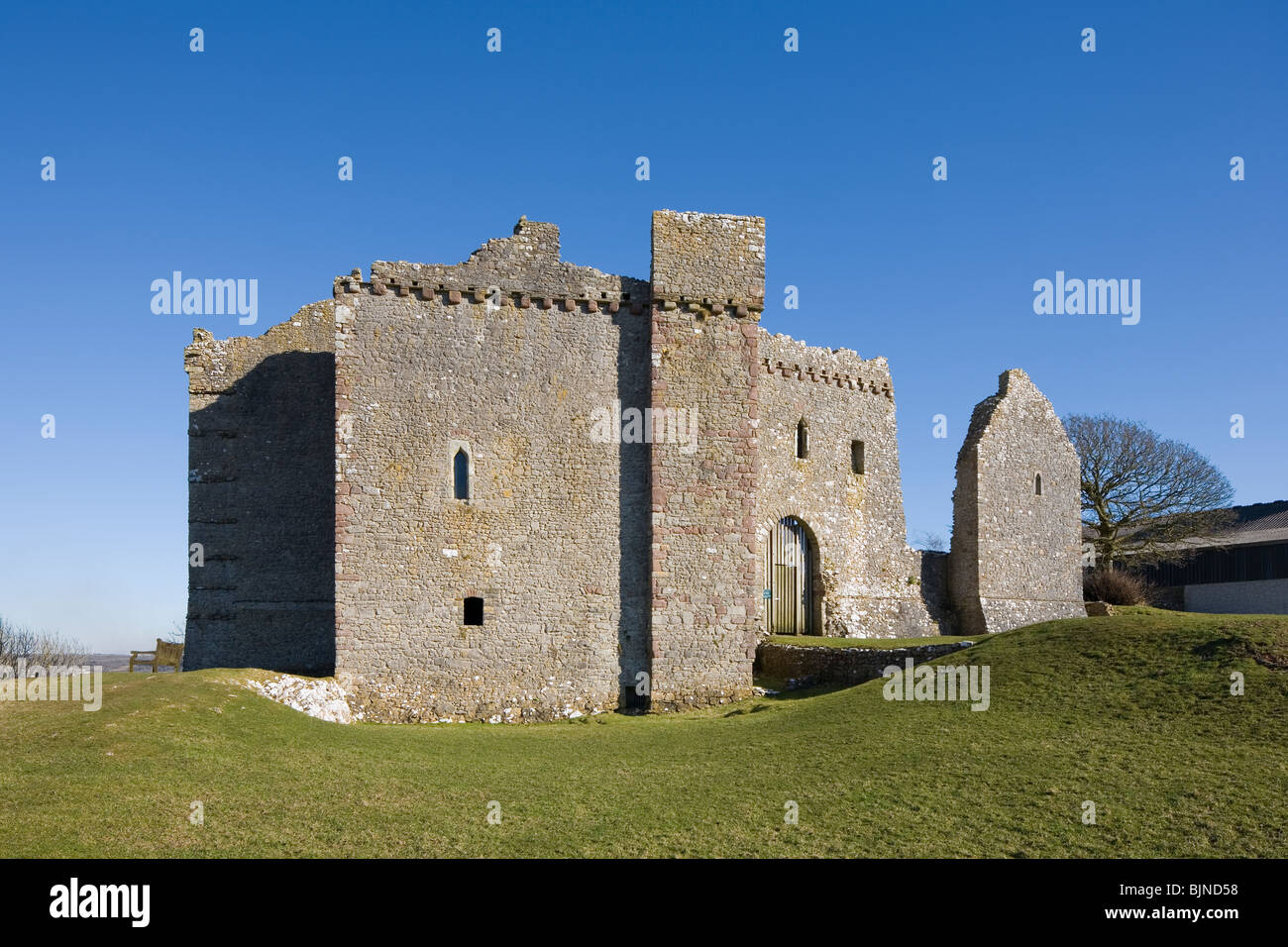 Weobley Castle ruins on The Gower Peninsula, South Wales, UK Stock Photo