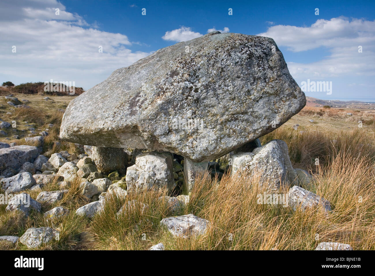 Arthurs Stone or Maen Ceti, an ancient burial chamber on Cefn Bryn Common, The Gower Peninsula, South Wales, UK Stock Photo