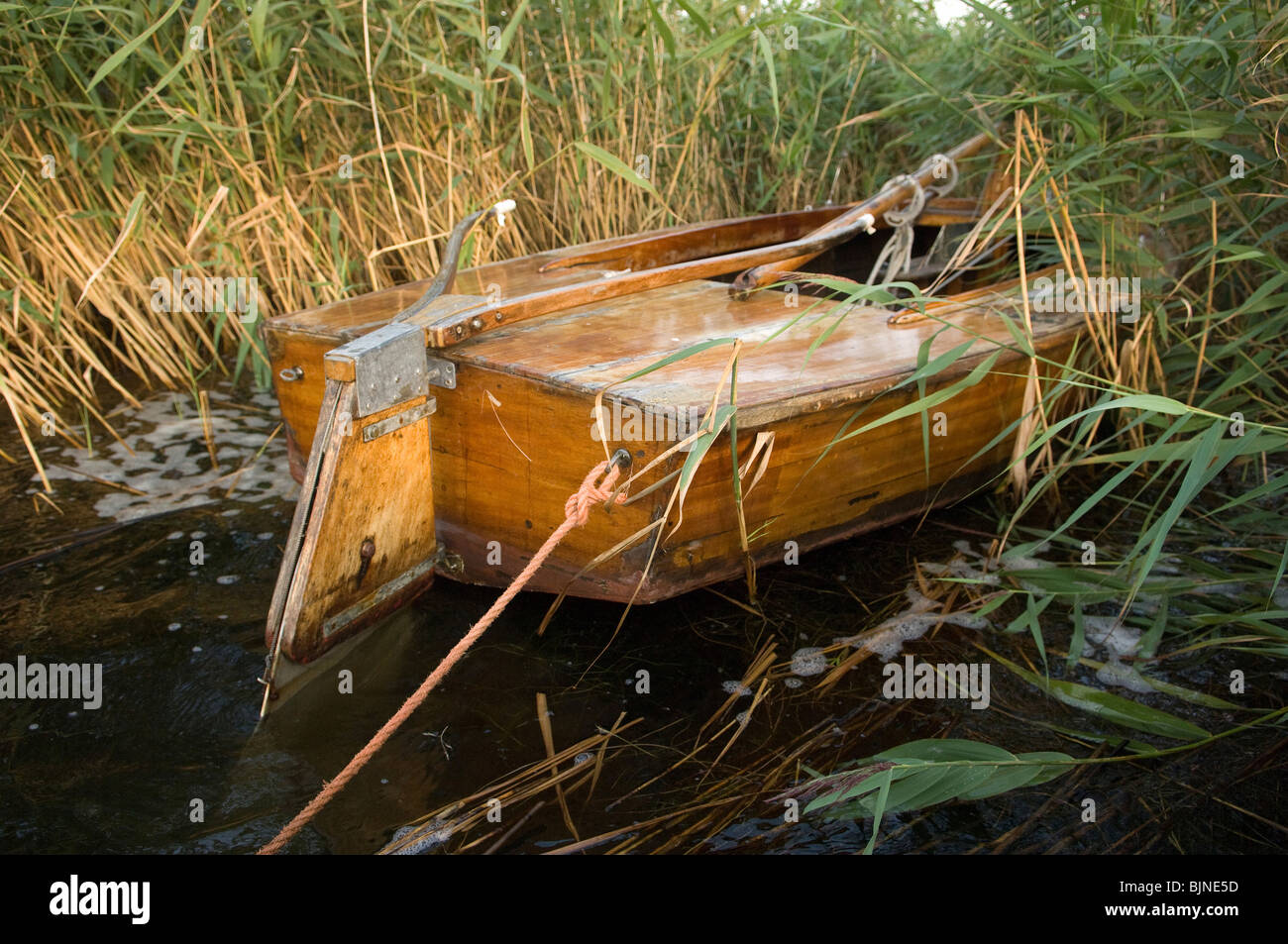 Sailing boat in reed Stock Photo - Alamy