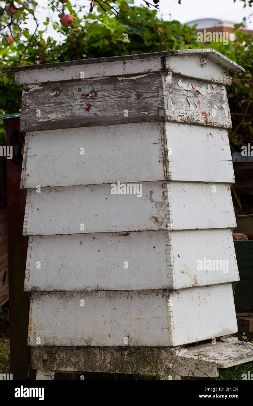 Traditional bee hive Stock Photo