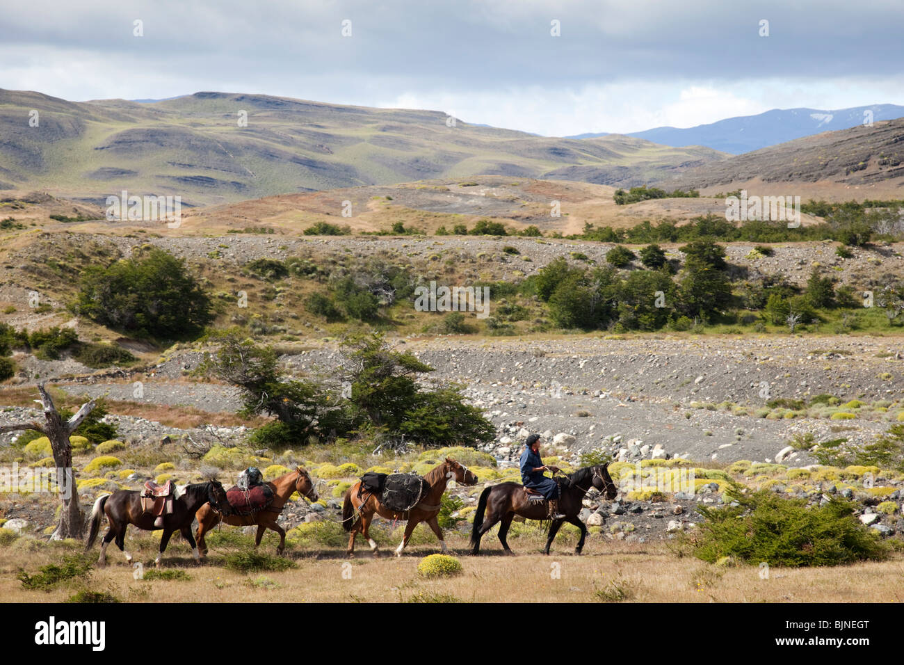 Torres del paine horseback hi-res stock photography and images - Alamy