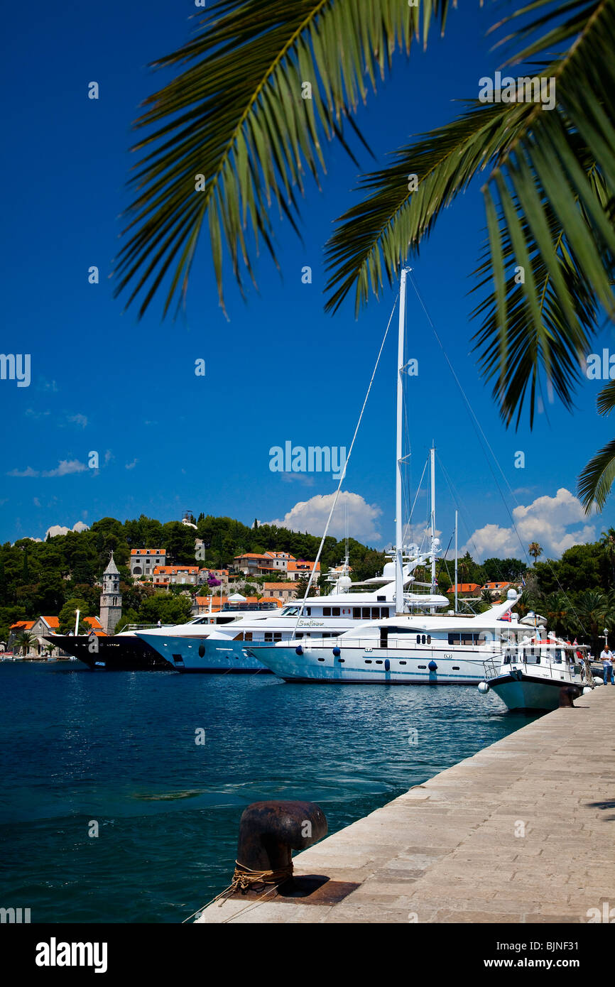 Croatia, Dalmatia, Dalmatian Coast, Cavtat Stock Photo Alamy