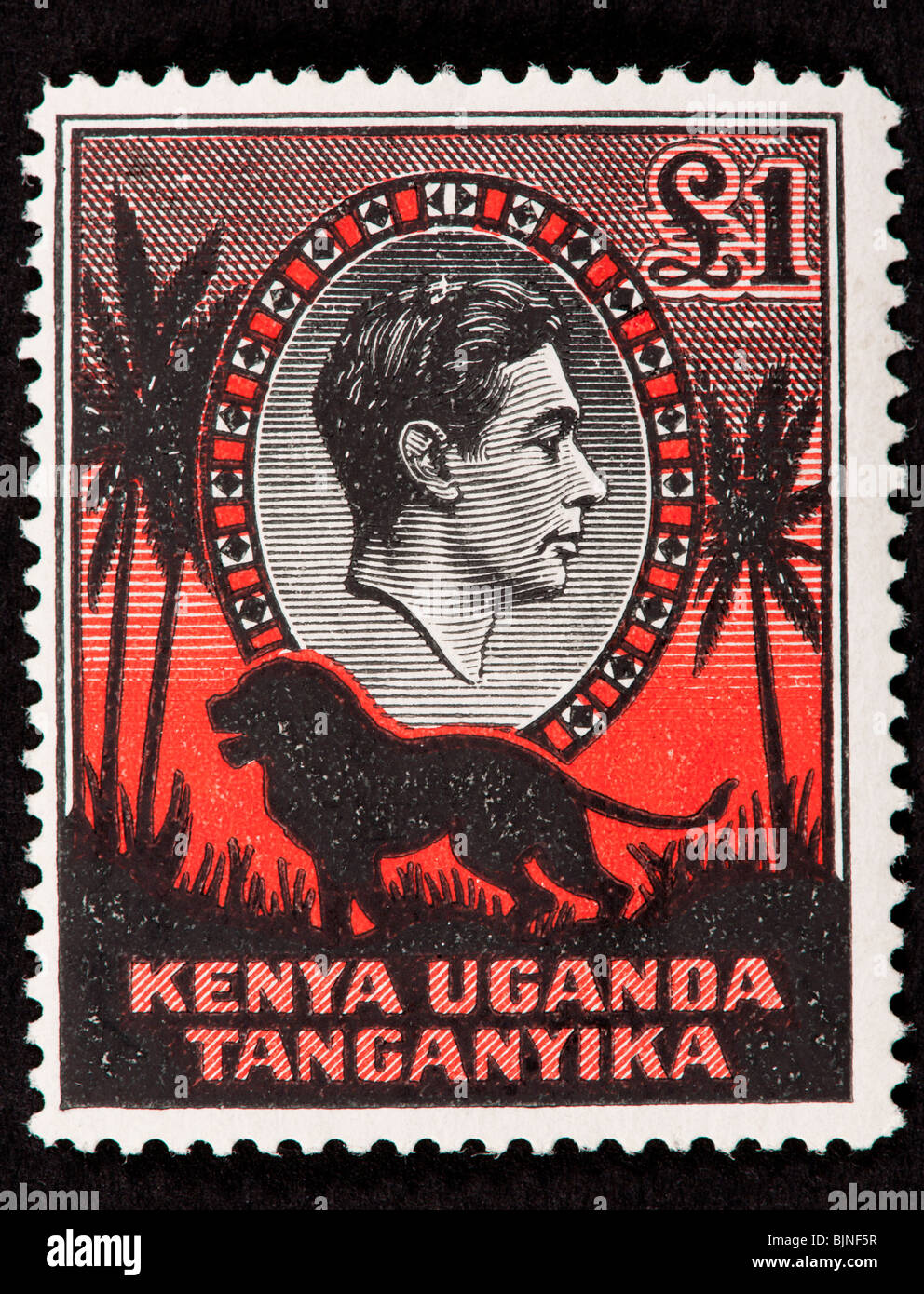 Postage stamp from Kenya, Uganda, and Tanganyika depicting a lion and