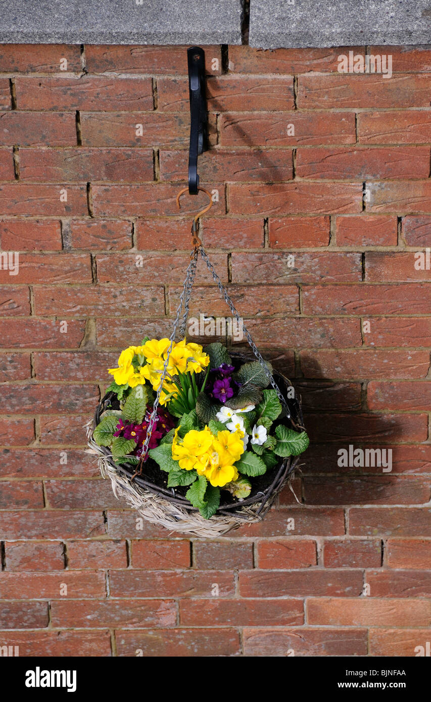 Hanging basket hi-res stock photography and images - Alamy