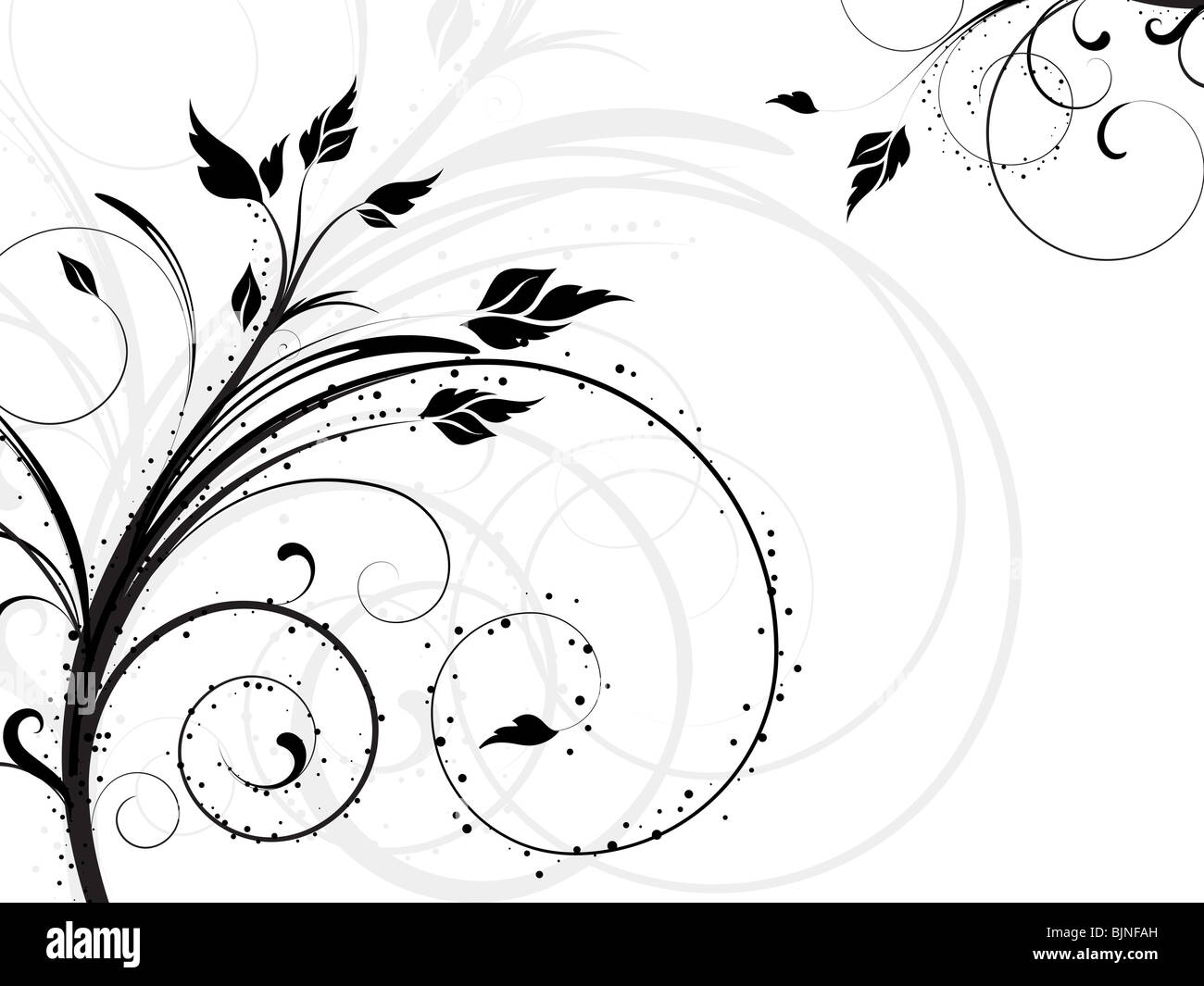 Decorative ABSTRACT floral design Stock Photo