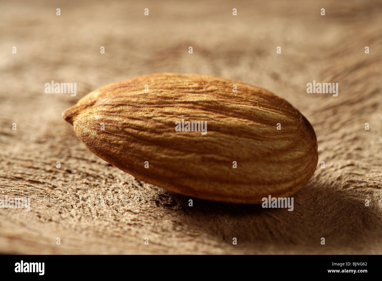 Single almond nut shell hi-res stock photography and images - Alamy