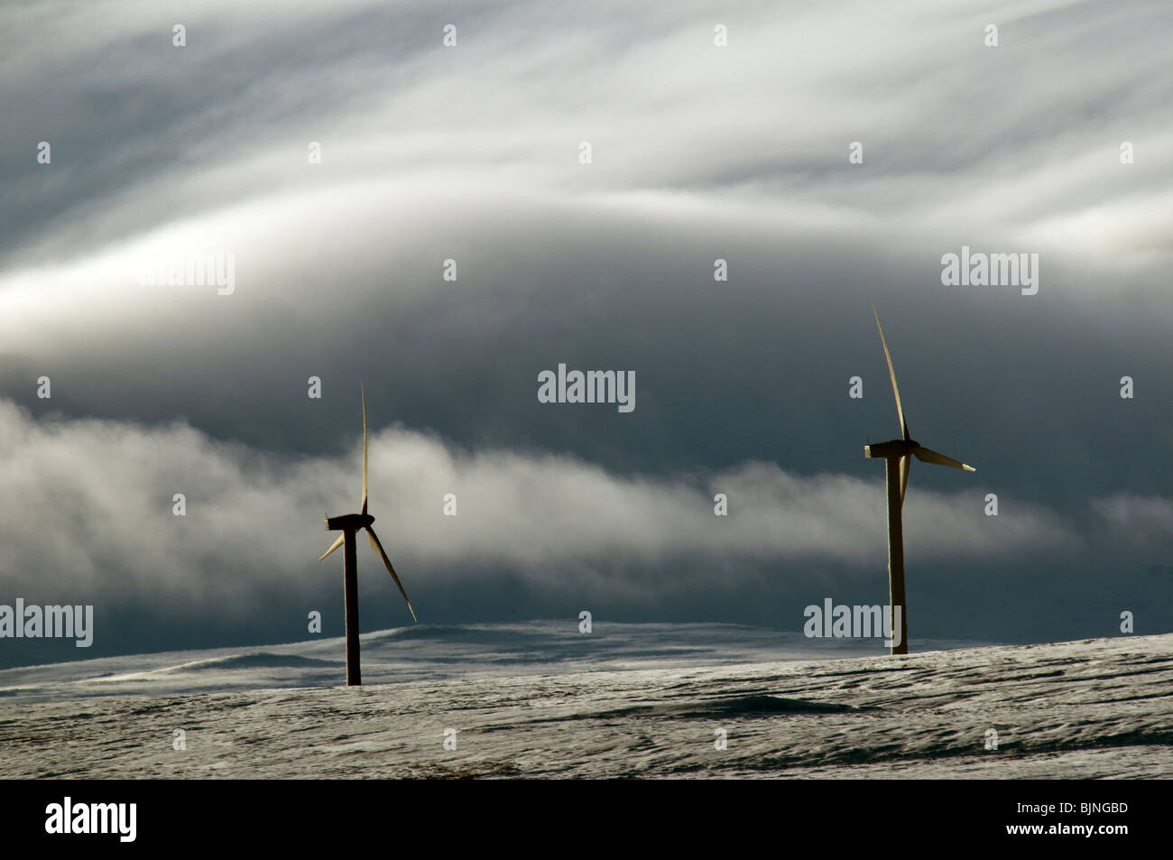 Wind generators on a snow covered hillside in Caithness, Scotland UK.  A mist covered hill behind. Stock Photo