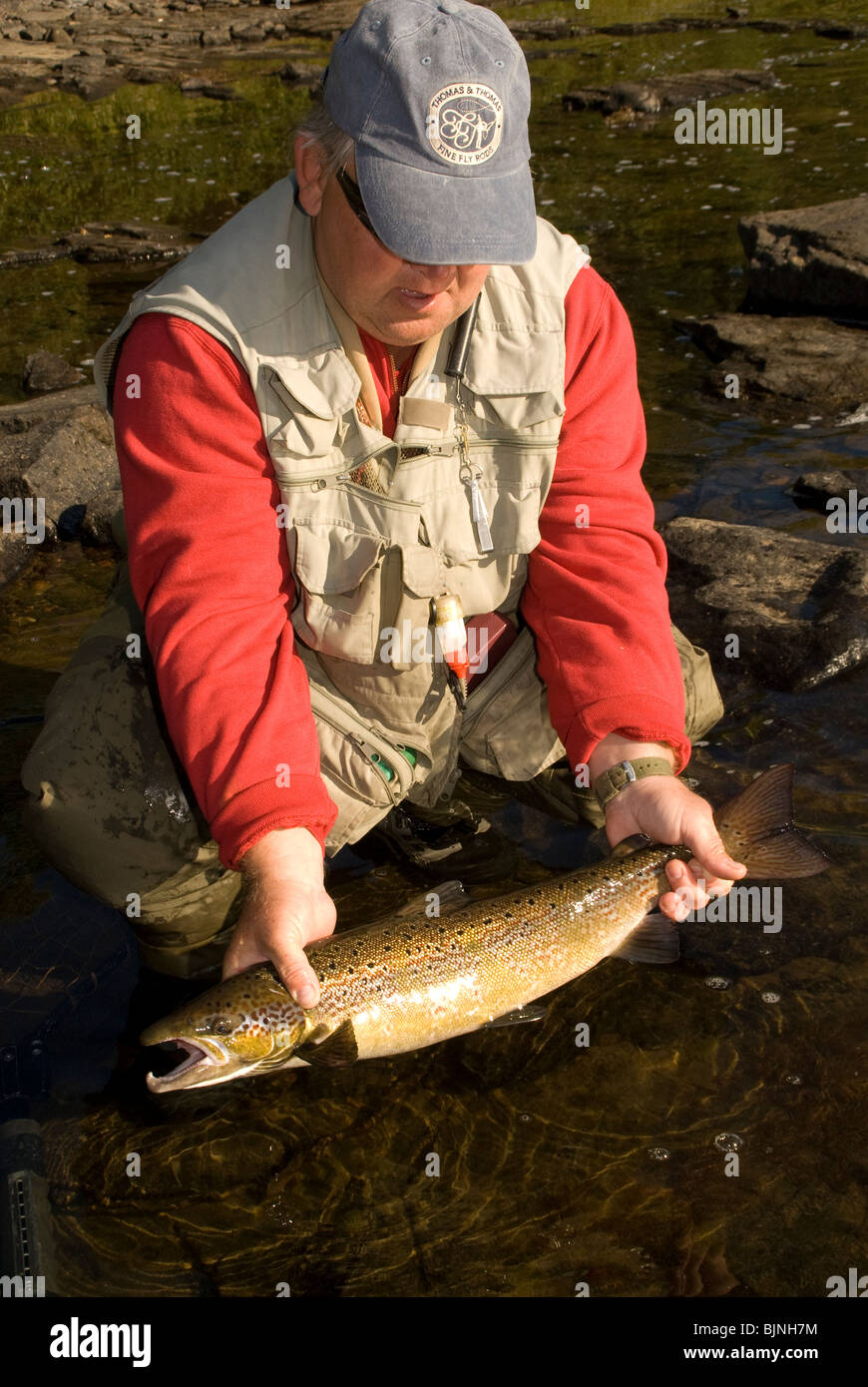 New Brunswick, Canada, Miramichi River fishing guide Rodney Colford releases a fly caught Atlantic salmon. Stock Photo
