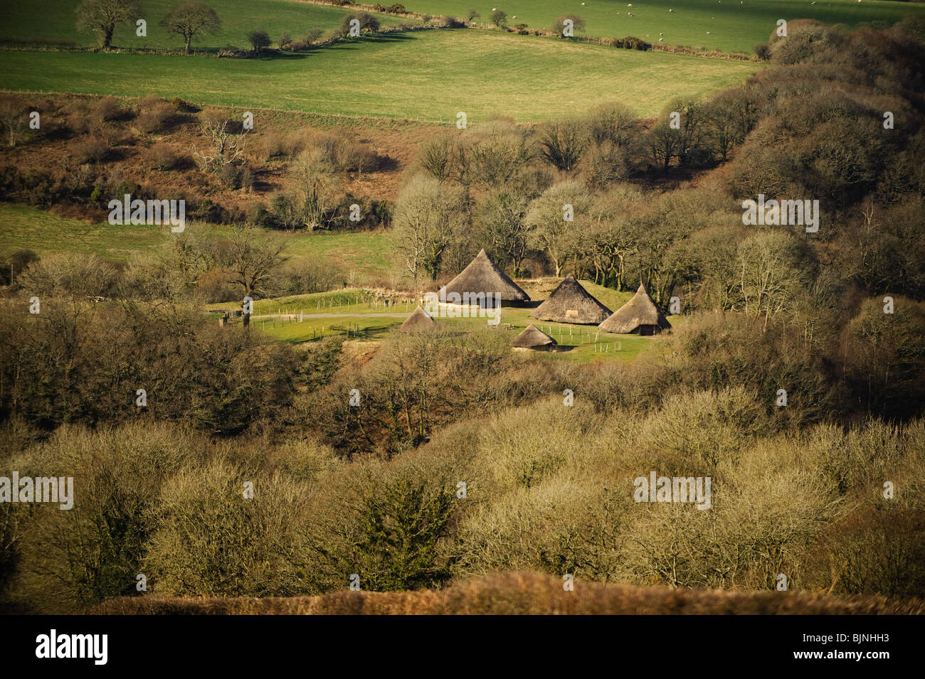 Roundhouses in Castell Henllys reconstructed iron age hill fort, Pembrokeshire, South West Wales, UK Stock Photo
