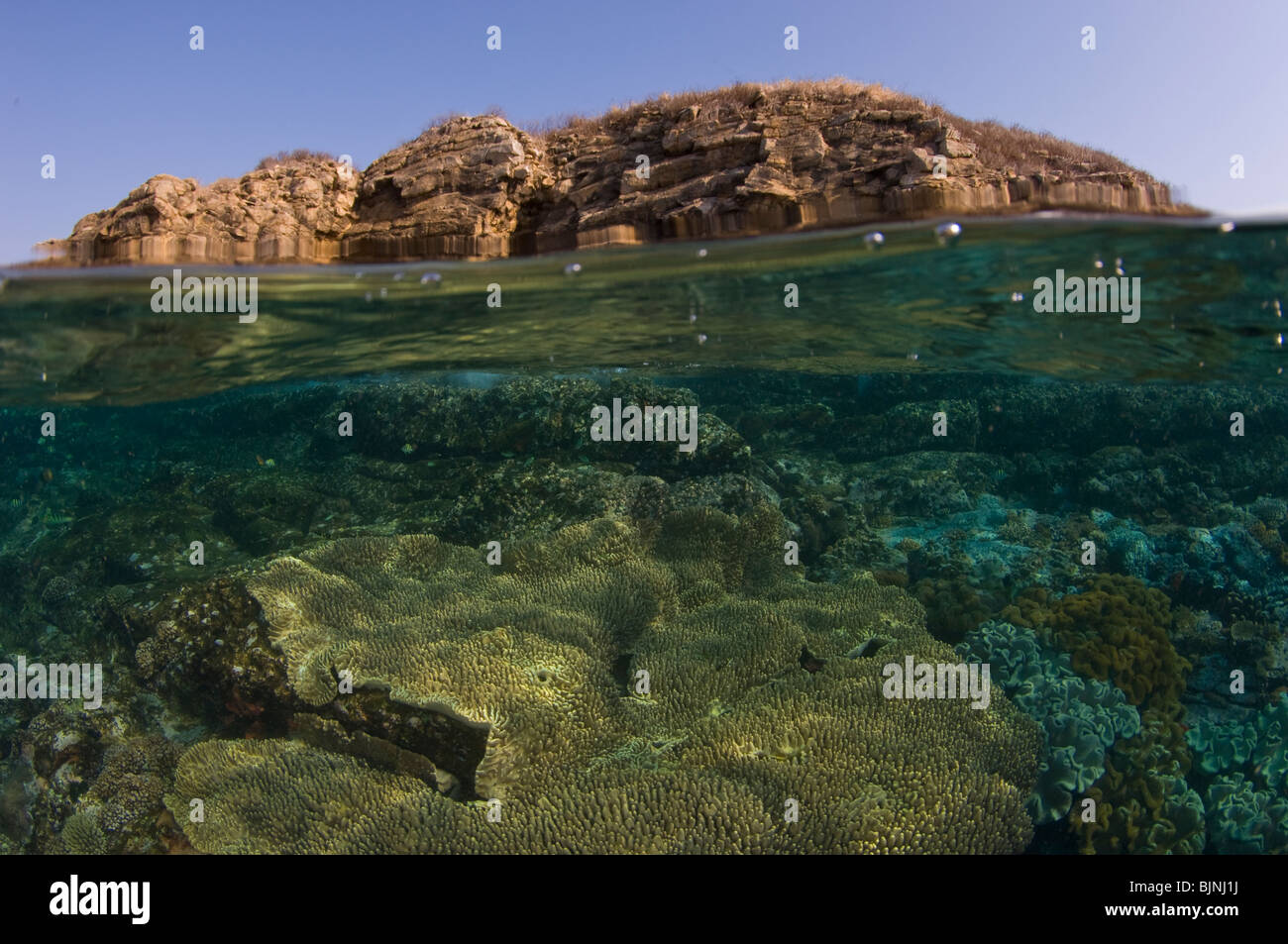 Above and Below Coral Reef, Current City, Komodo National Park, Indonesia Stock Photo