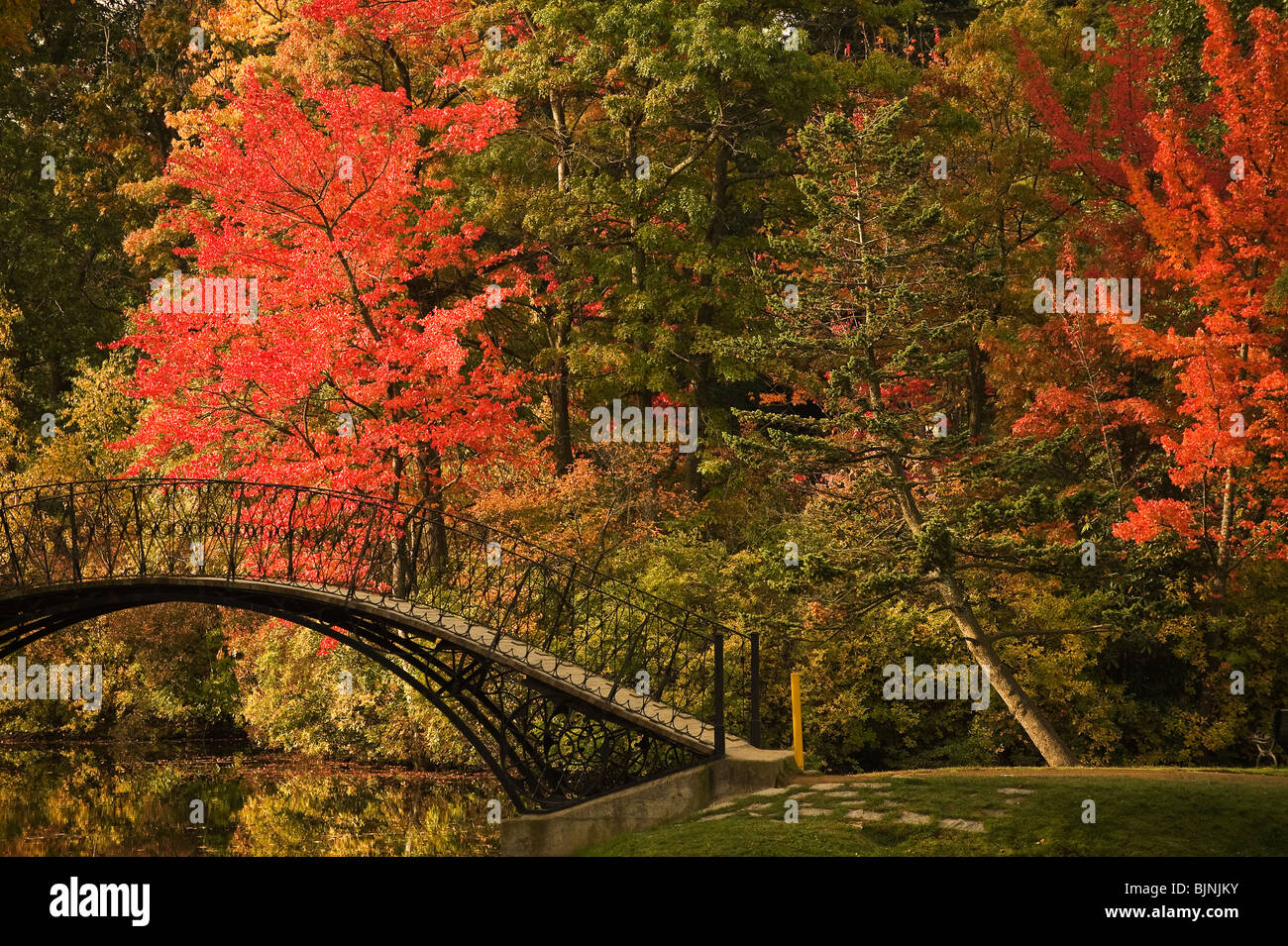 The Elm Park Bridge is one of the most recognizable landmarks in ...