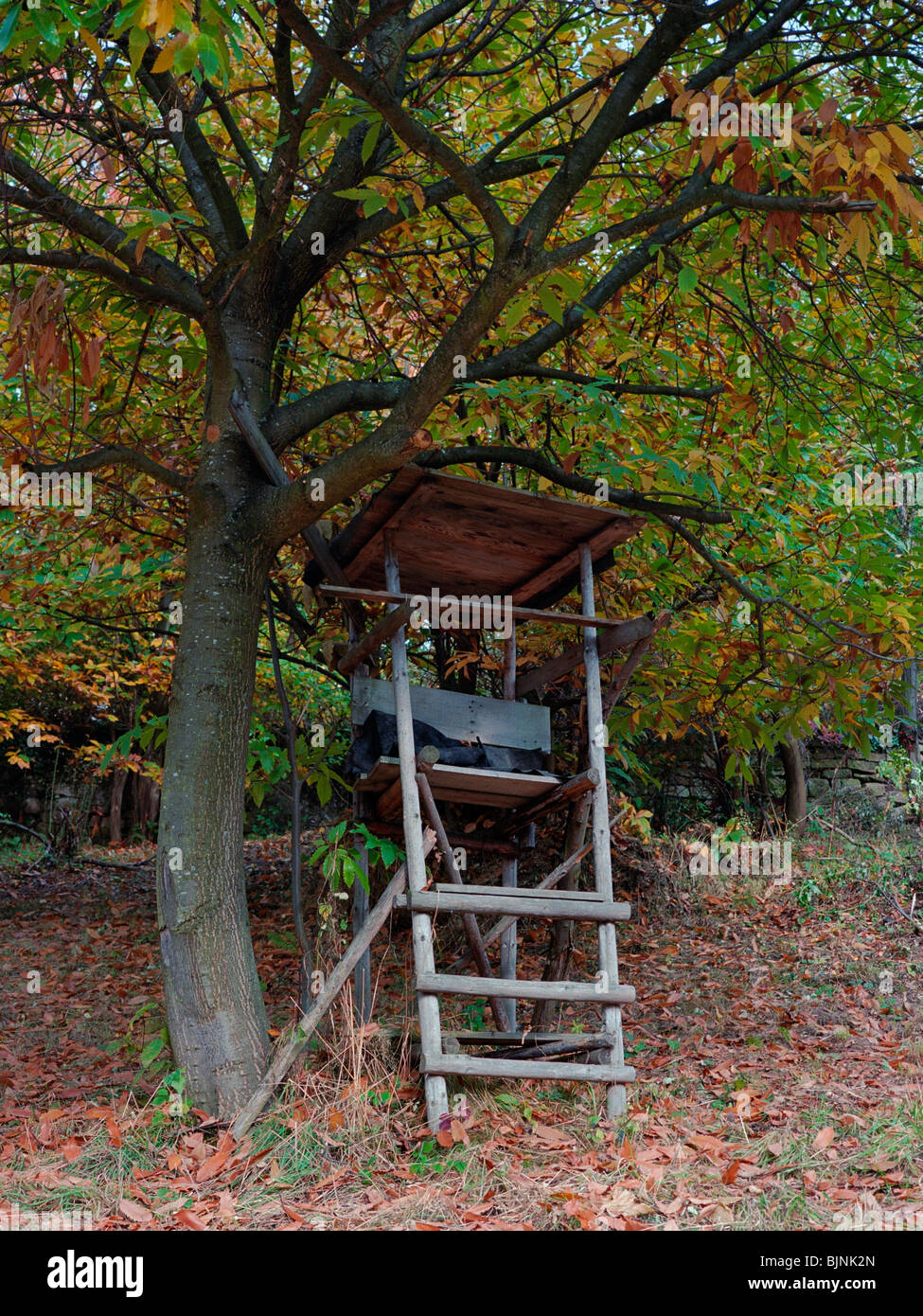 Raised stand hi-res stock photography and images - Alamy