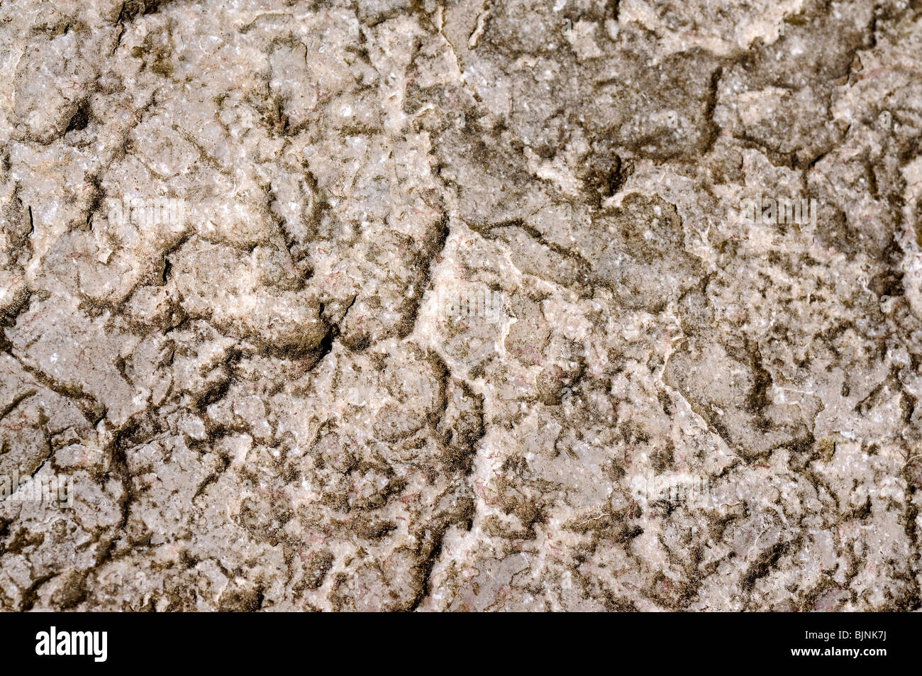 Local Limestone Pattern Texture and patterns in limestone Stock Photo - Alamy
