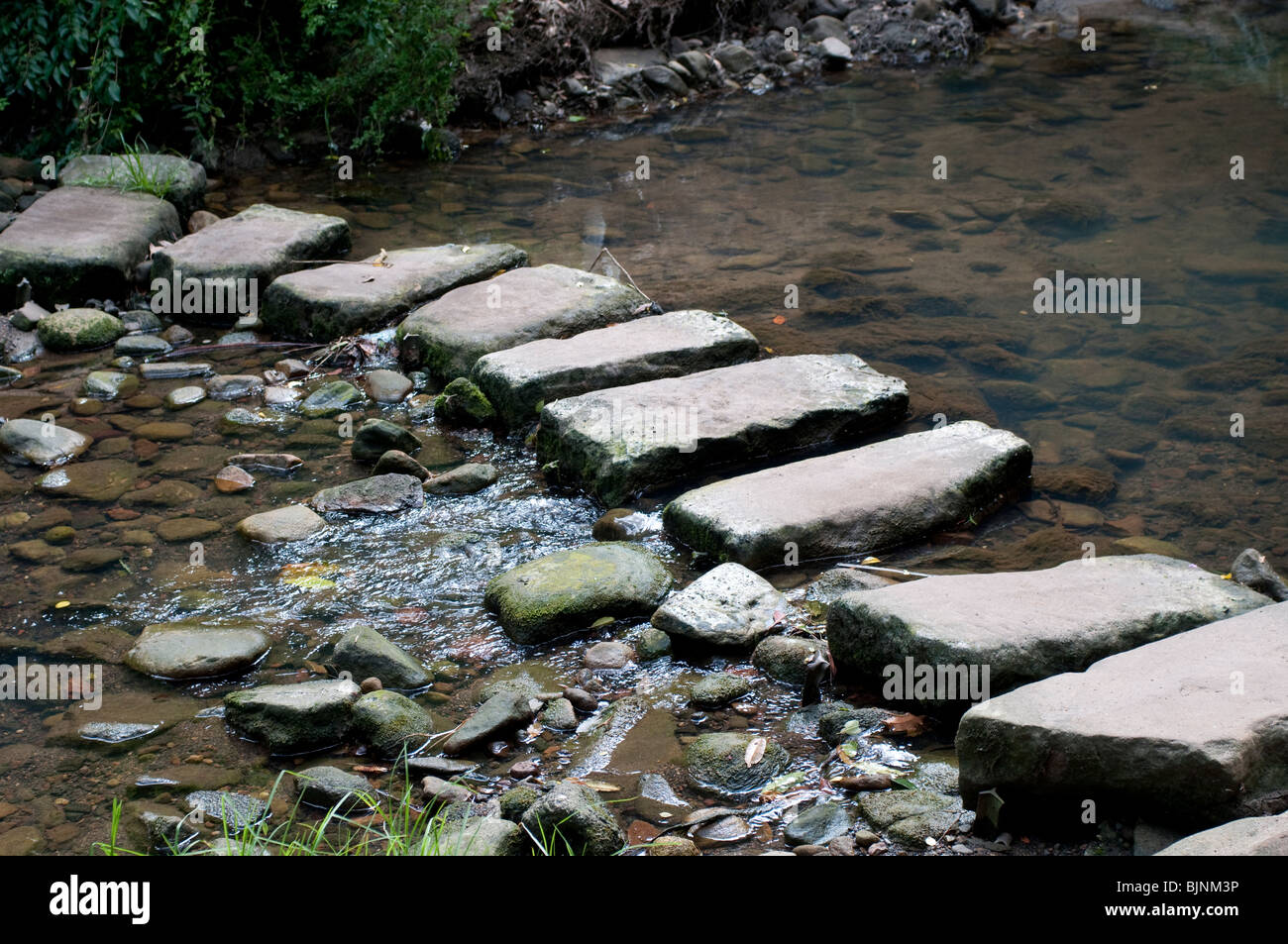 Stepping stones, Flat Rock Creek, Cammeray, Sydney Stock Photo