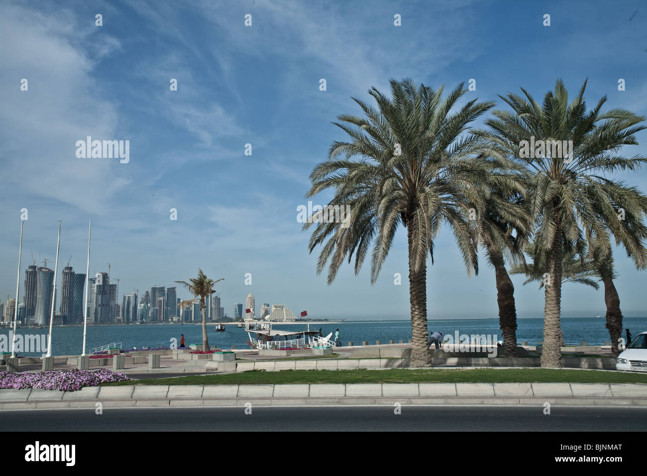 palm tree of Doha qatar Stock Photo Alamy